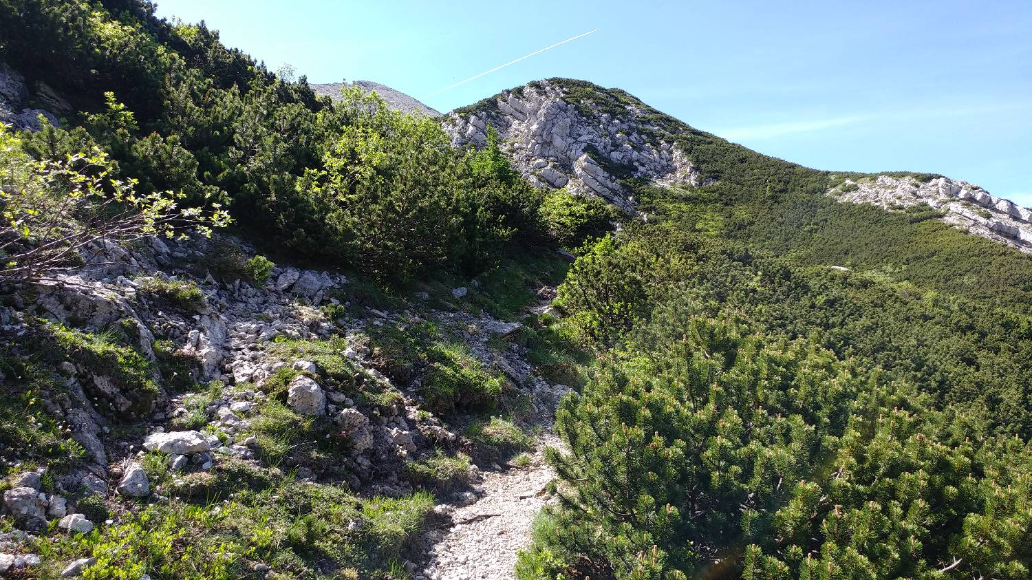 Parkirišče nad Žabčami - Vogel slika 45