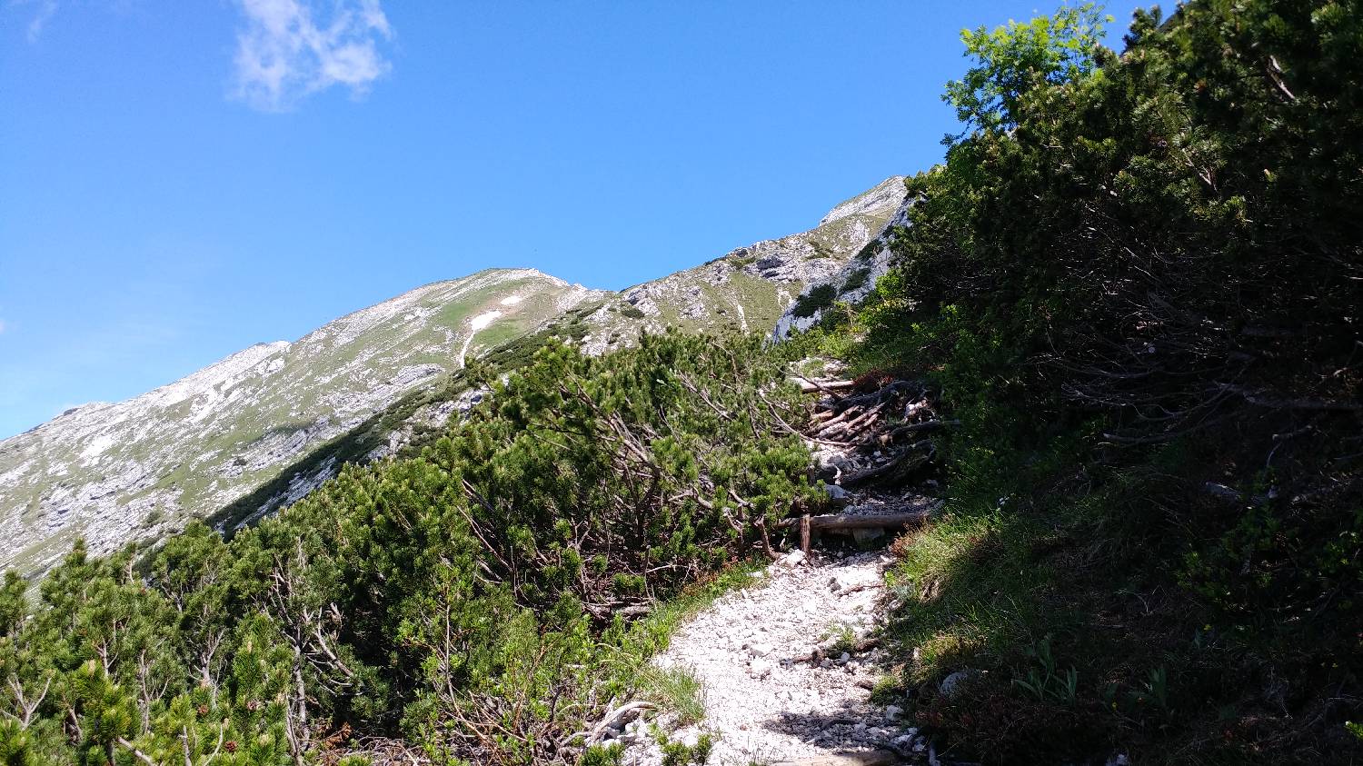 Planina Kuk (Podkuk) - Žabiški Kuk slika 25