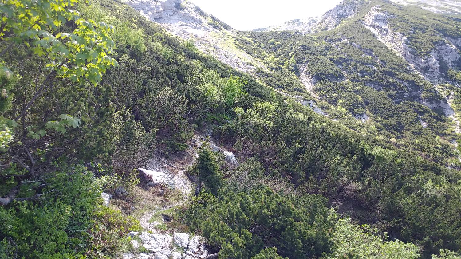 Parkirišče nad Žabčami - Vogel slika 42