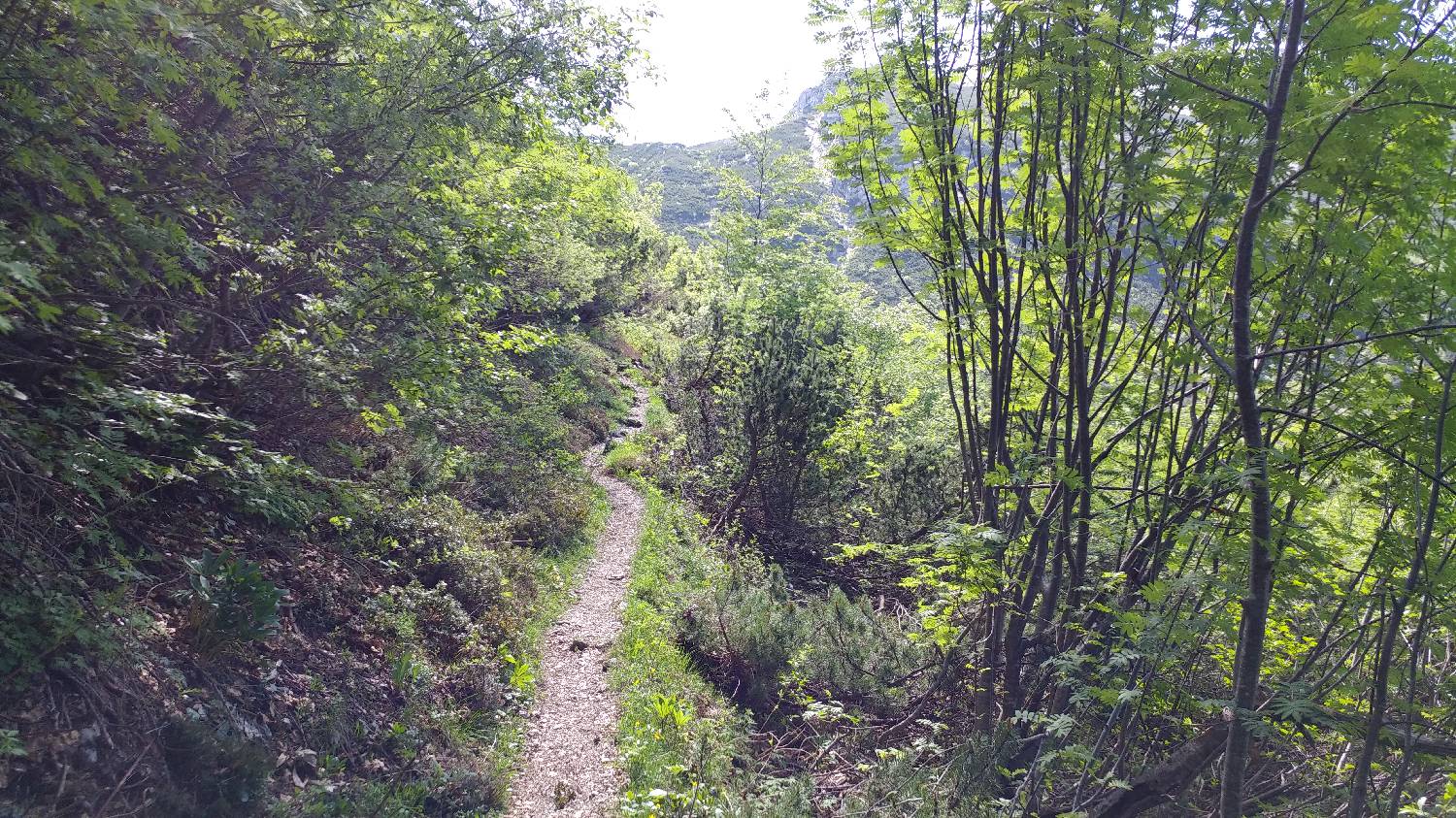 Planina Kuk (Podkuk) - Žabiški Kuk slika 22