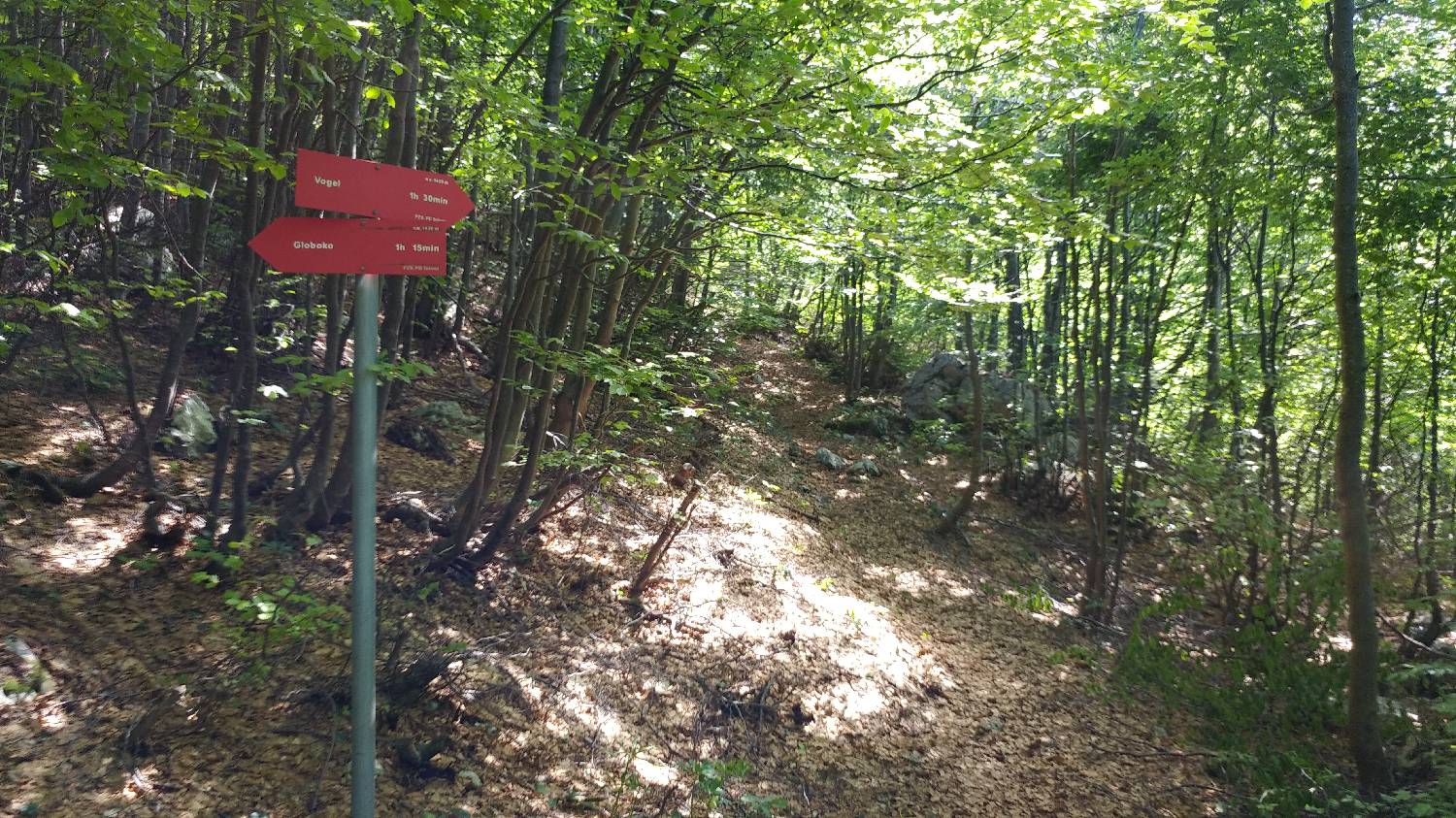 Planina Kuk (Podkuk) - Vrh Planje (nad Globokim) slika 10