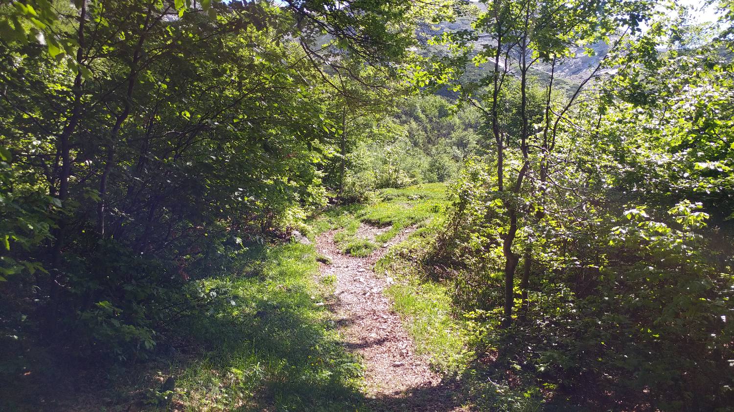 Planina Kuk (Podkuk) - Meja slika 19