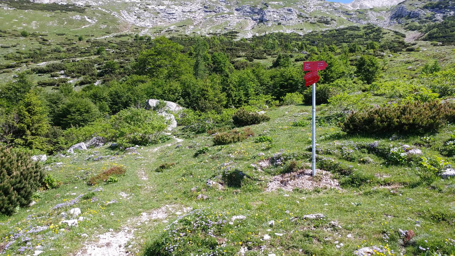 Planina Kuk (Podkuk) - Vrh Planje (nad Globokim) slika 13