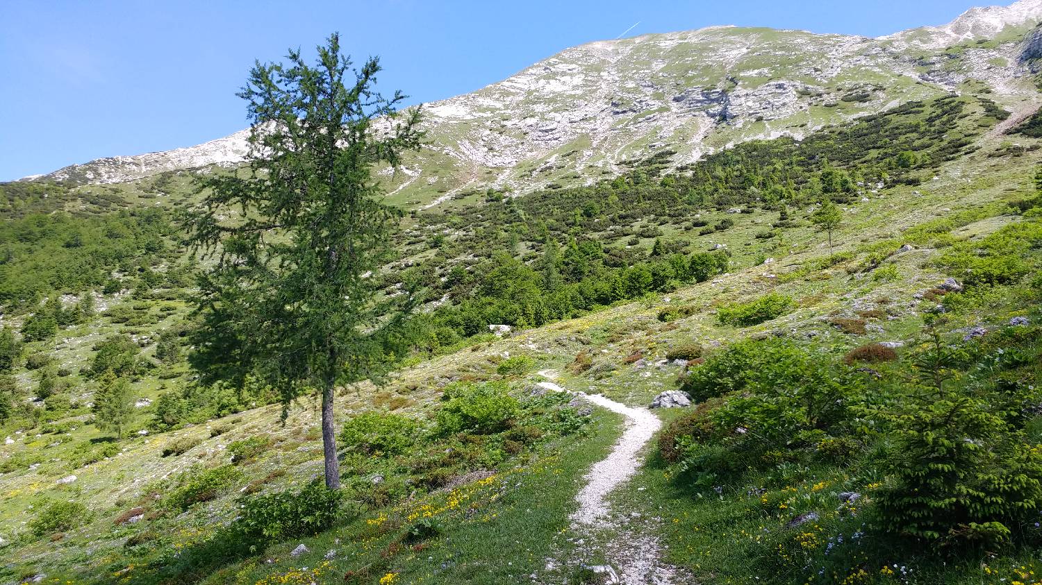 Planina Kuk (Podkuk) - Vrh Krnic slika 16