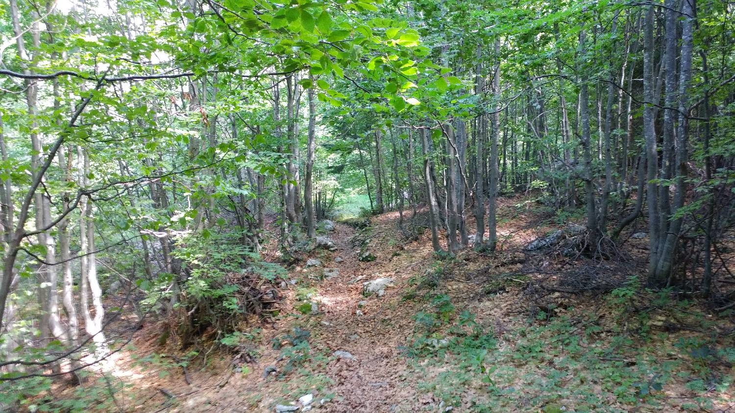 Planina Kuk (Podkuk) - Žabiški Kuk slika 16
