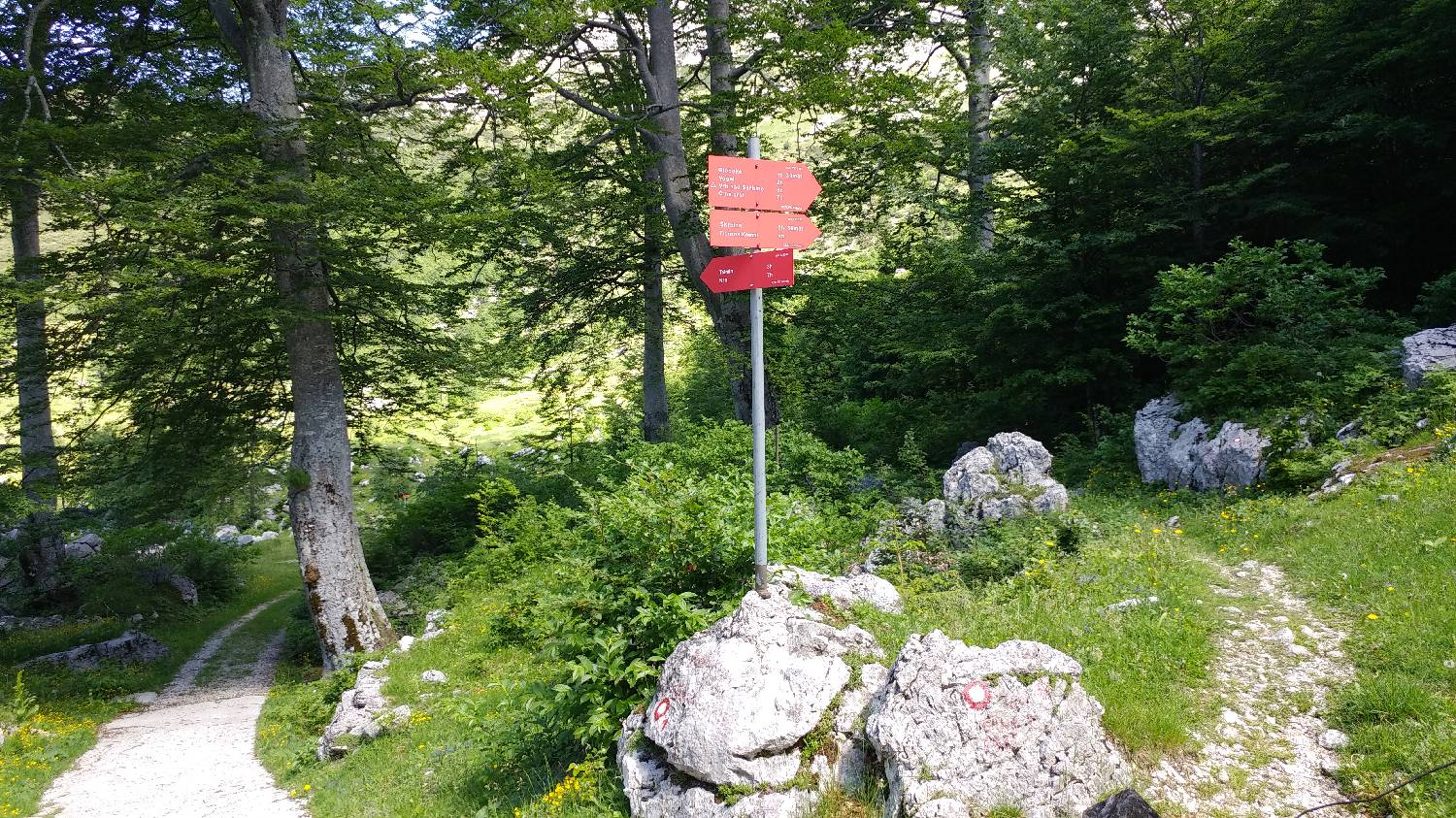 Planina Kuk (Podkuk) - Vrh nad Škrbino slika 15
