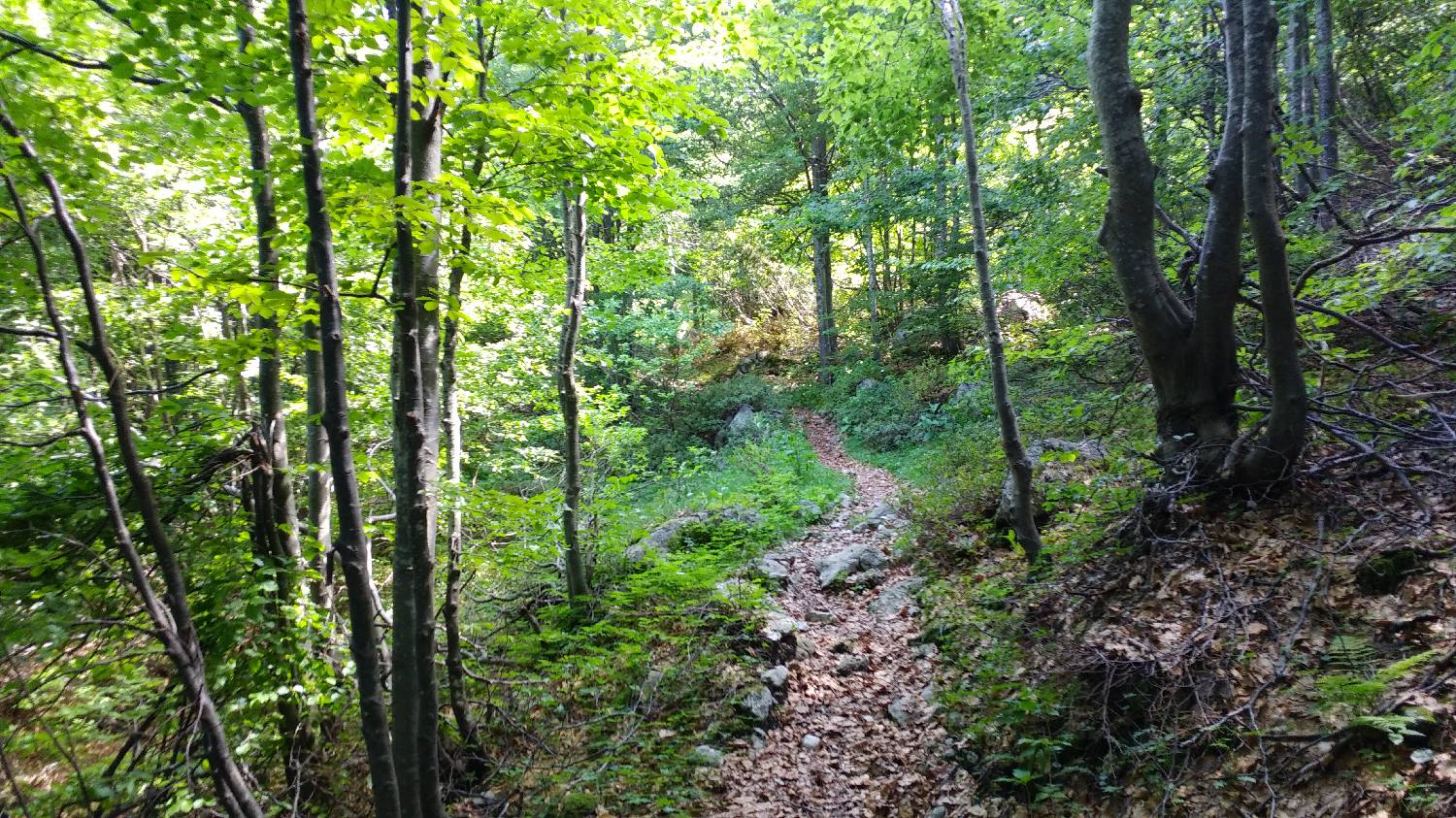 Planina Kuk (Podkuk) - Koča na Planini Razor slika 13