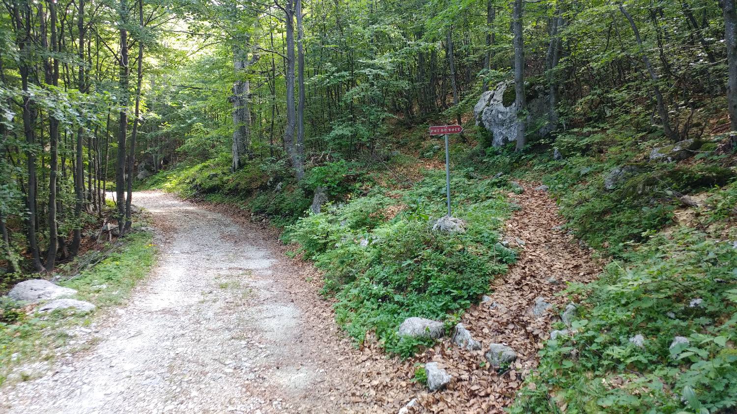 Planina Kuk (Podkuk) - Koča na Planini Razor slika 12