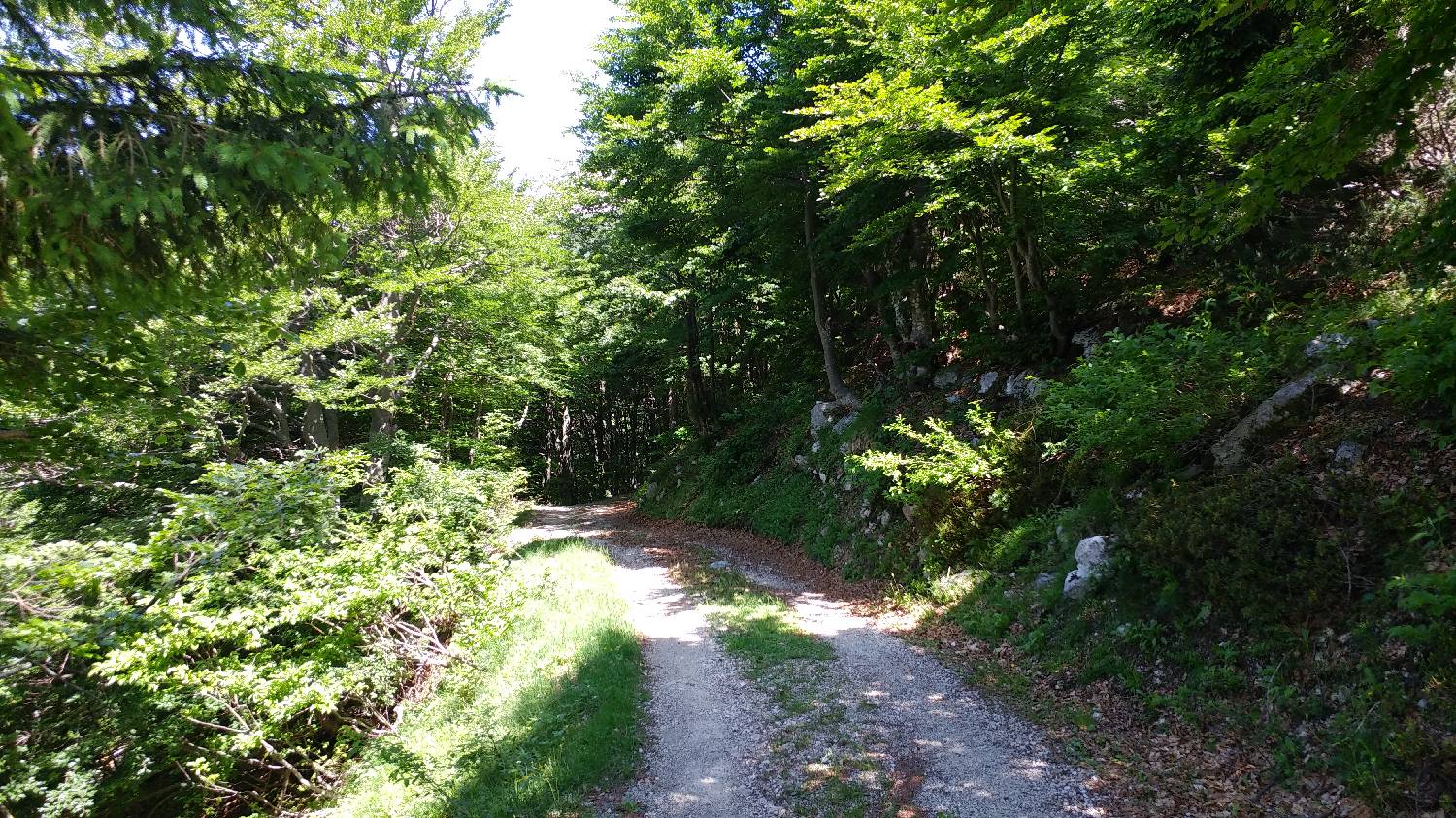 Planina Kuk (Podkuk) - Meja slika 11