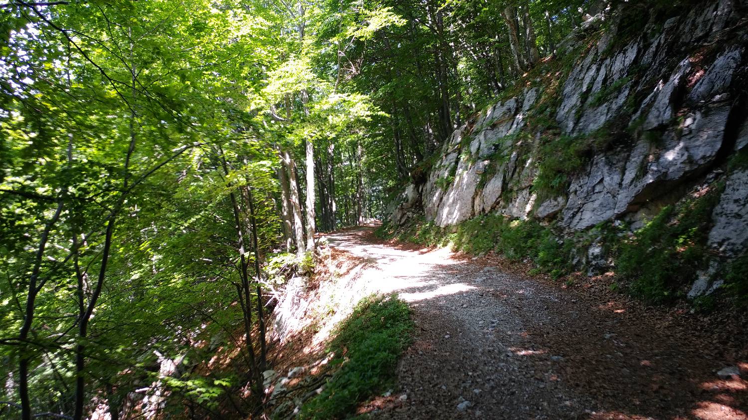 Planina Kuk (Podkuk) - Vogel slika 11