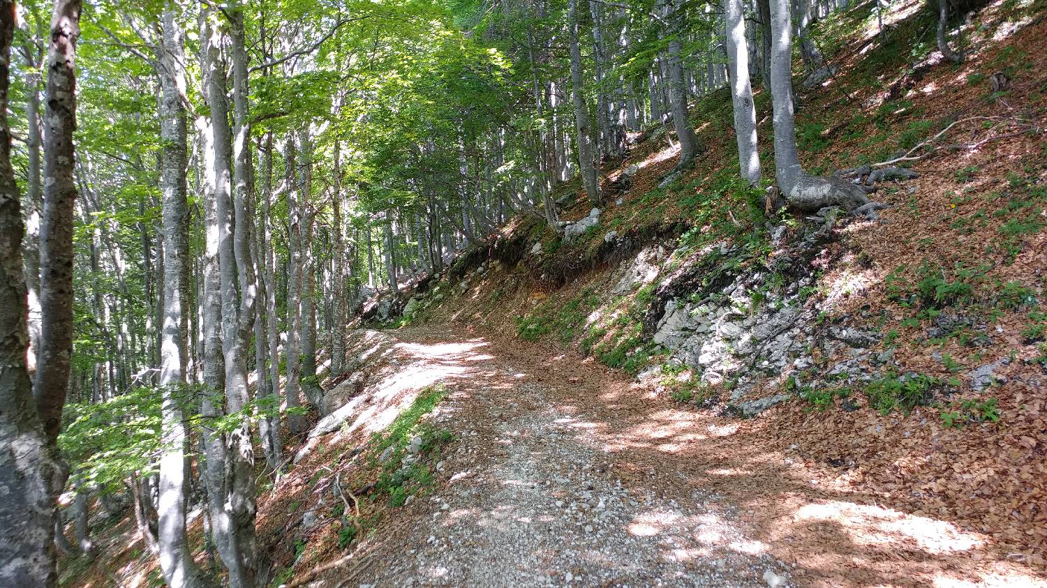 Planina Kuk (Podkuk) - Koča na Planini Razor slika 11