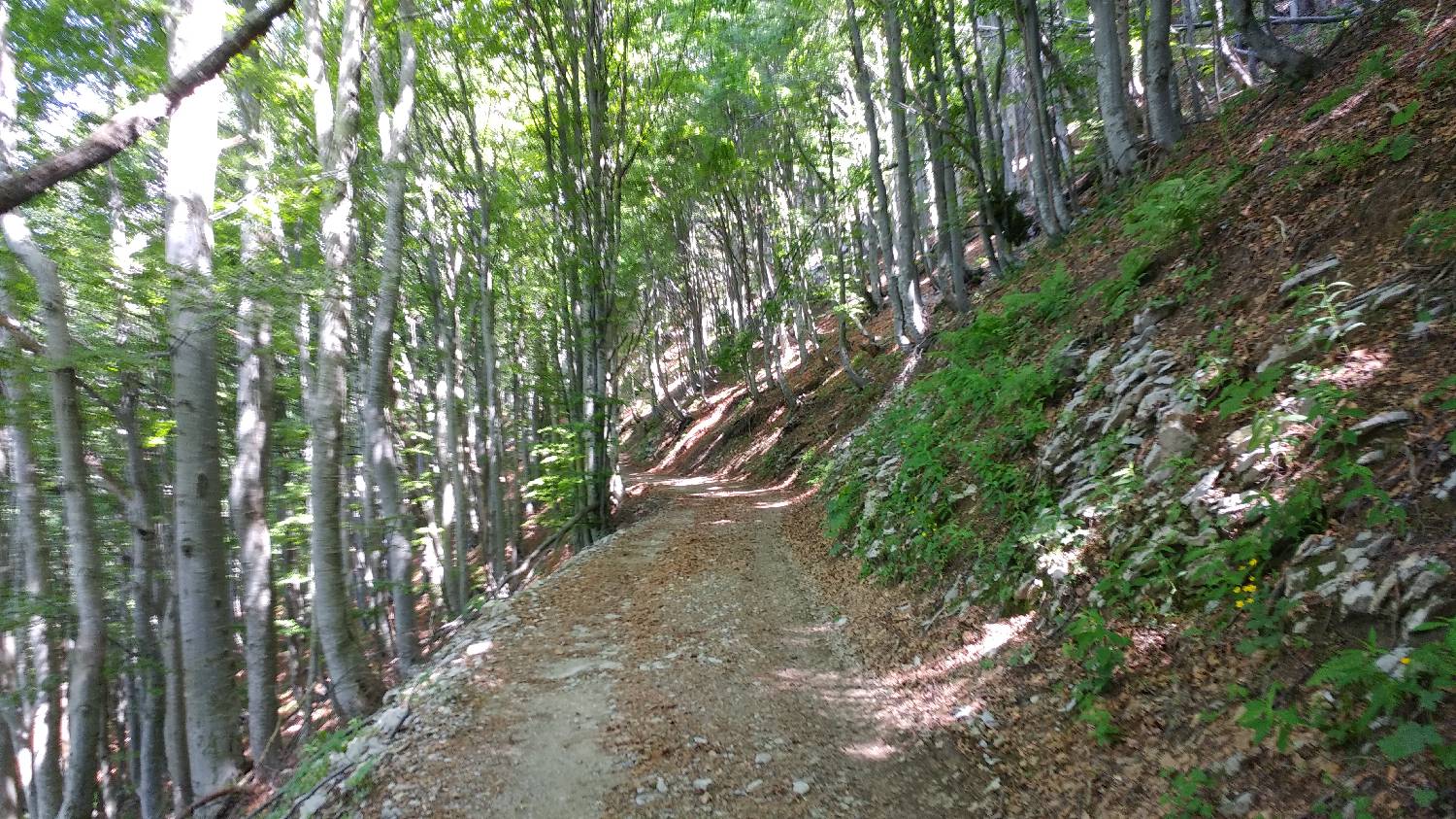 Planina Kuk (Podkuk) - Žabiški Kuk slika 10