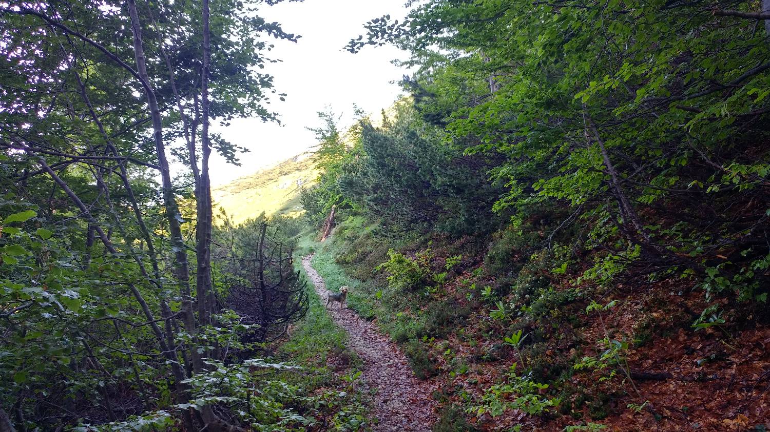 Planina Kuk (Podkuk) - Vrh Krnic slika 21