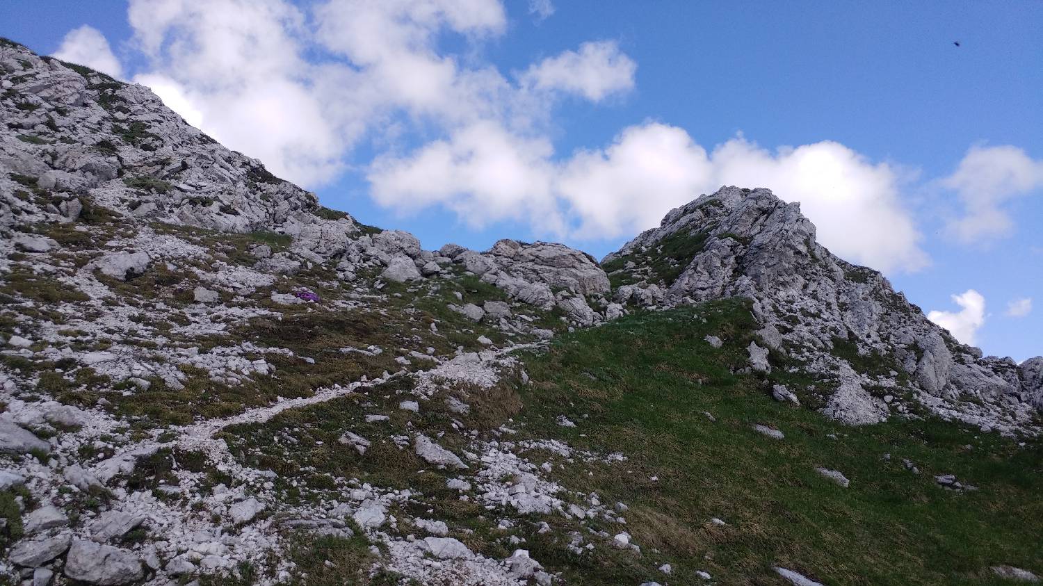 Planina Kuk (Podkuk) - Vrh Planje (nad Globokim) slika 36