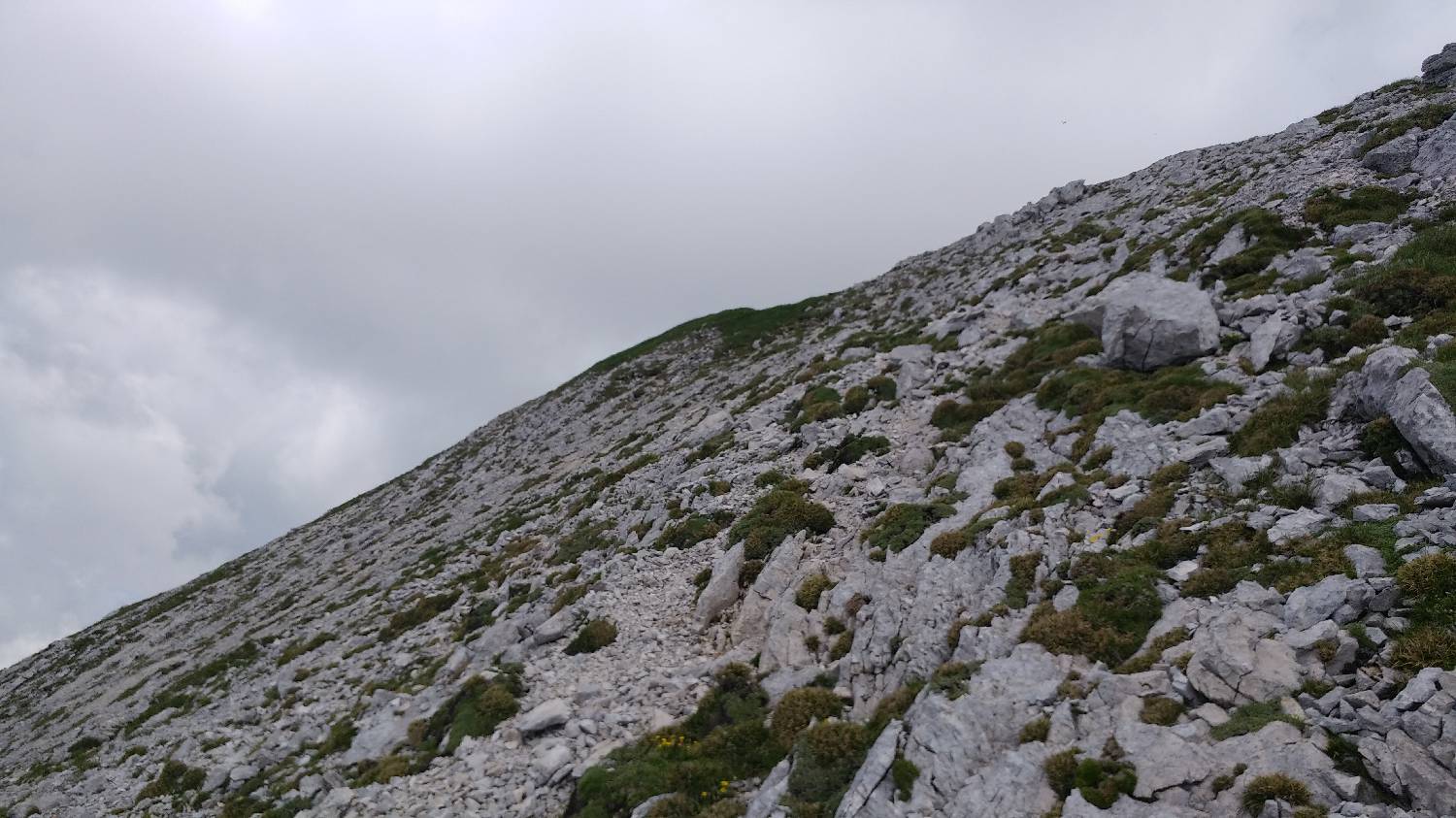 Parkirišče nad Žabčami - Vrh nad Škrbino slika 66