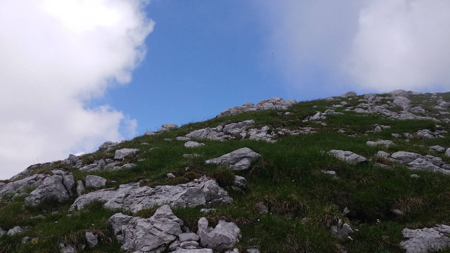Planina Kuk (Podkuk) - Vrh nad Škrbino slika 33