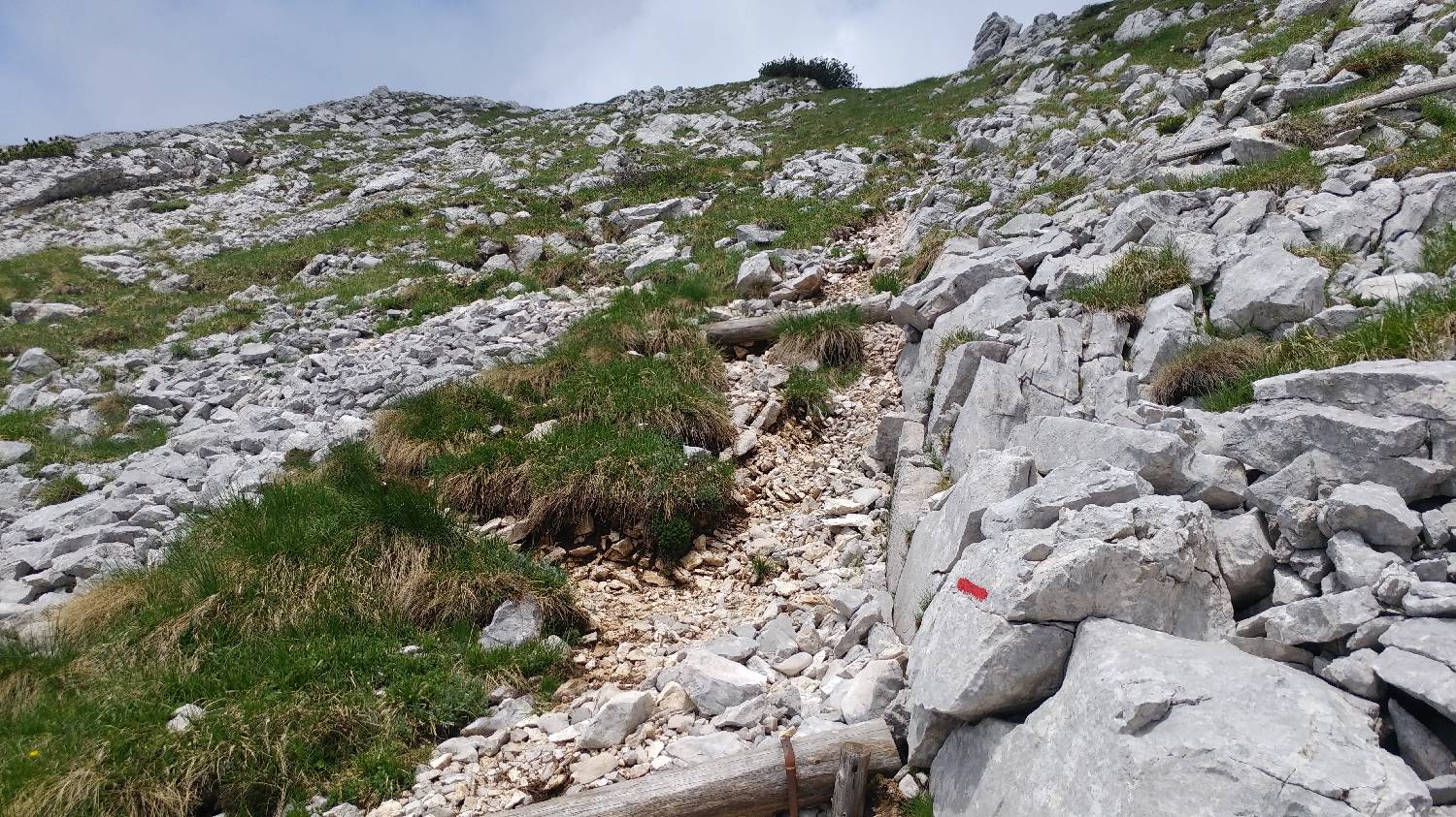 Planina Kuk (Podkuk) - Vrh nad Škrbino slika 31