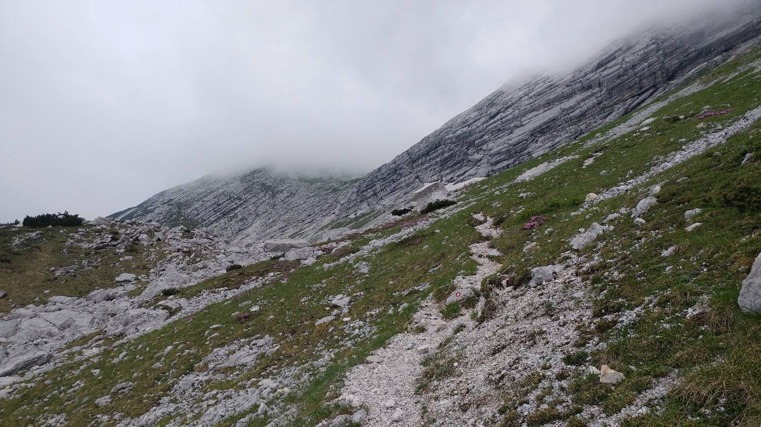 Planina Kuk (Podkuk) - Vrh nad Škrbino slika 26