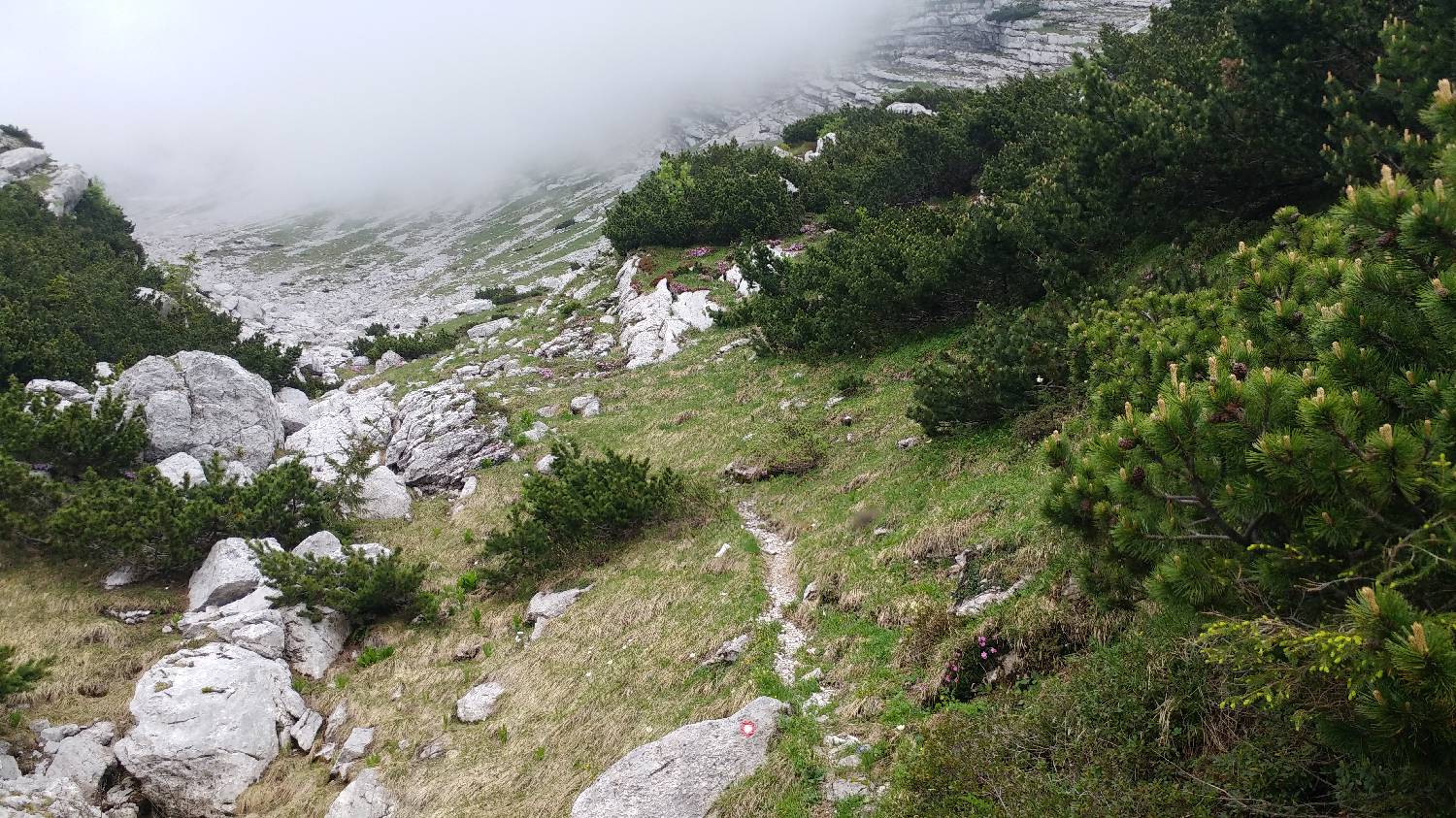 Planina Kuk (Podkuk) - Vrh nad Škrbino slika 25