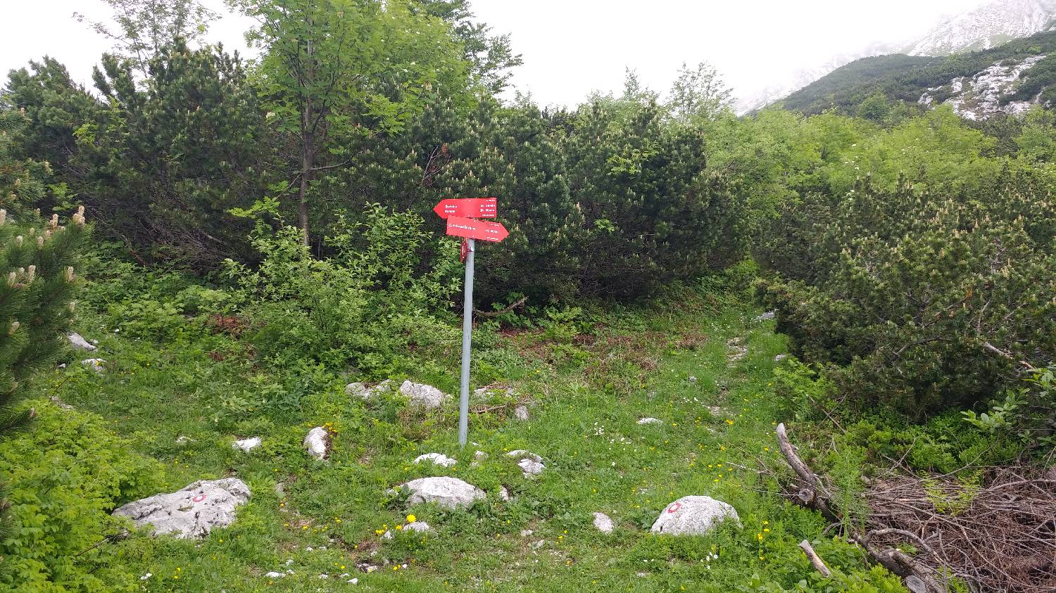 Planina Kuk (Podkuk) - Vrh nad Škrbino slika 23