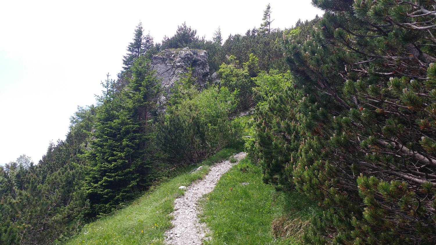 Planina Kuk (Podkuk) - Vrh nad Škrbino slika 21