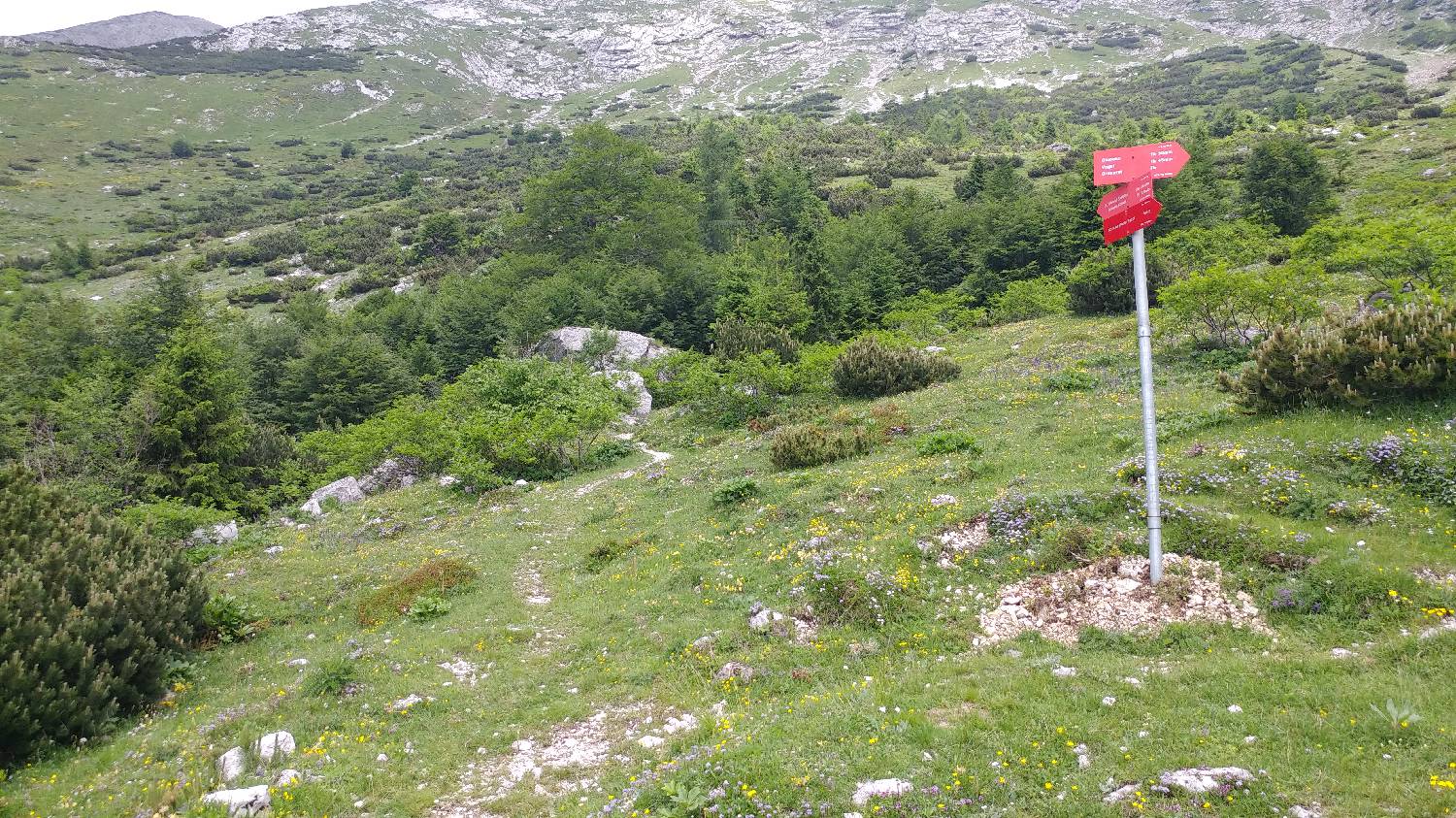 Planina Kuk (Podkuk) - Vrh nad Škrbino slika 18
