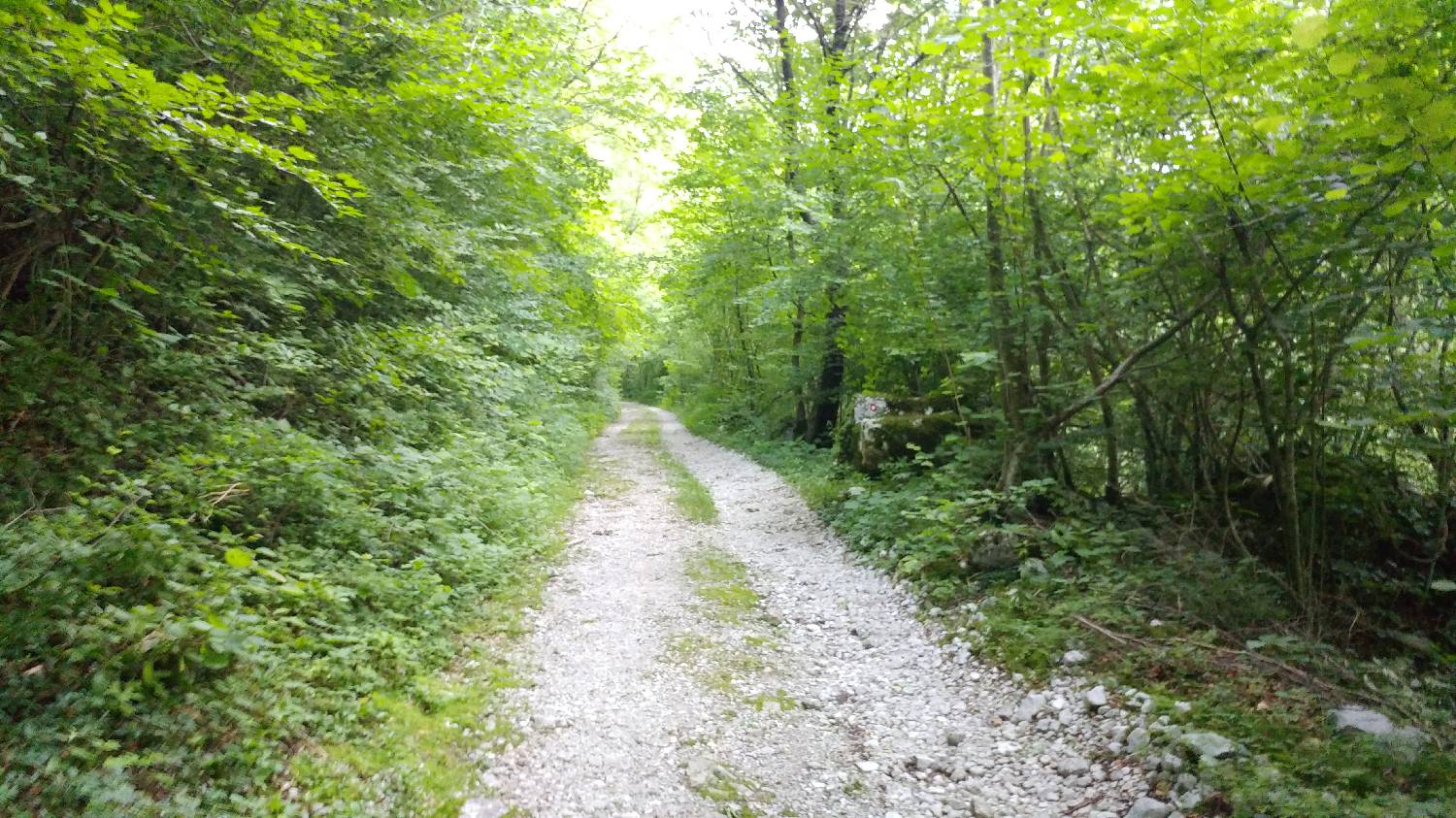 Planina Srednica - Vrh Škrli slika 4