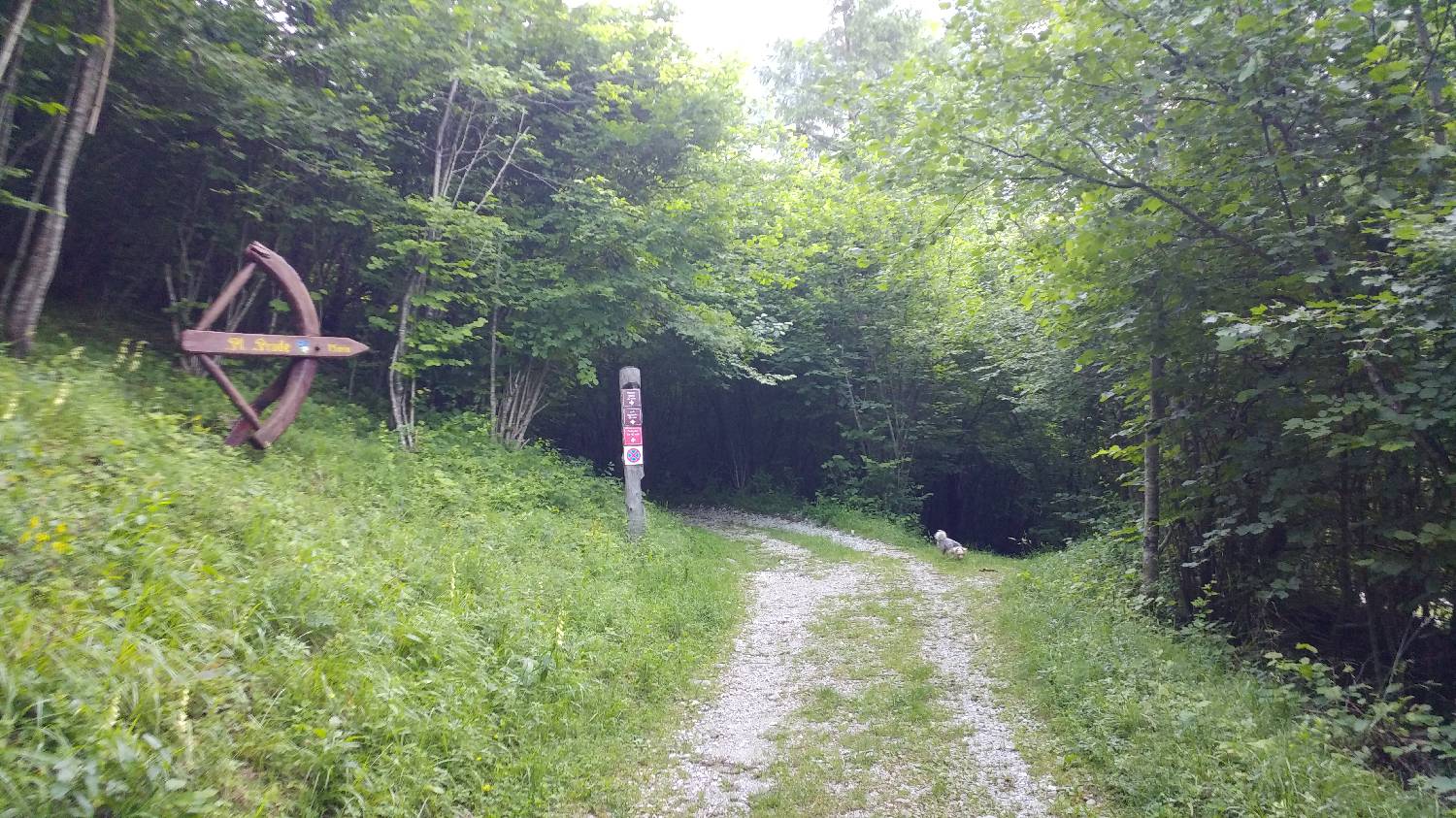 Planina Srednica - Vrh Škrli slika 5