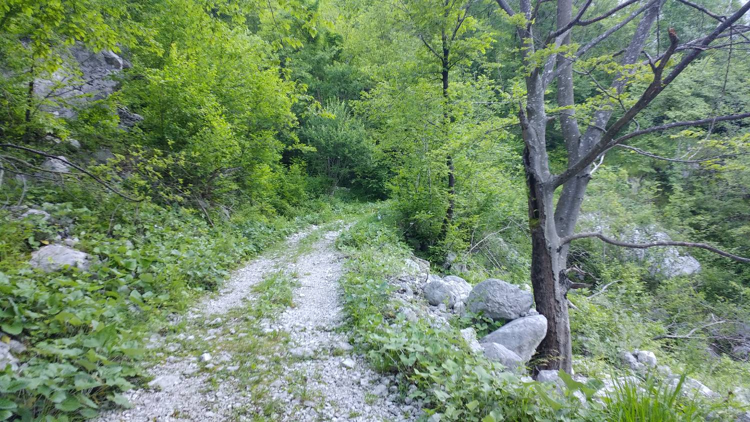 Planina Srednica - Mahavšček (Veliki Bogatin) slika 9
