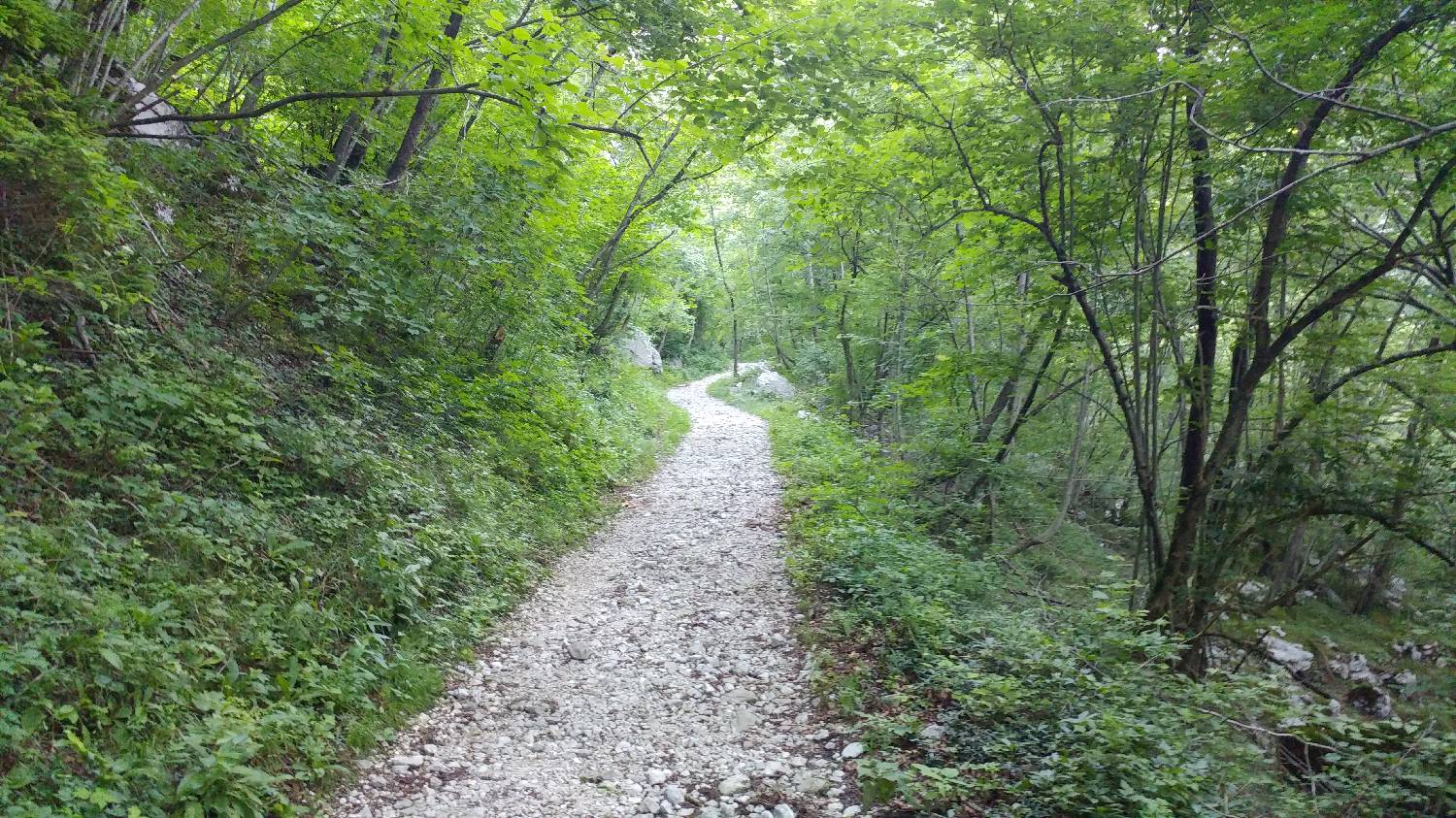 Planina Srednica - Mahavšček (Veliki Bogatin) slika 10