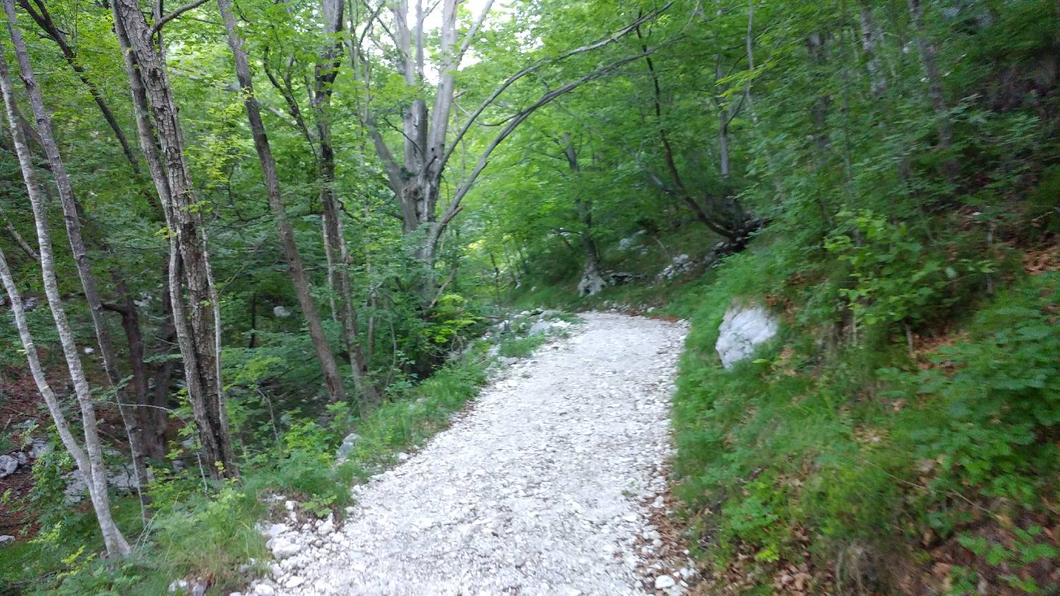 Planina Srednica - Vrh Škrli slika 8