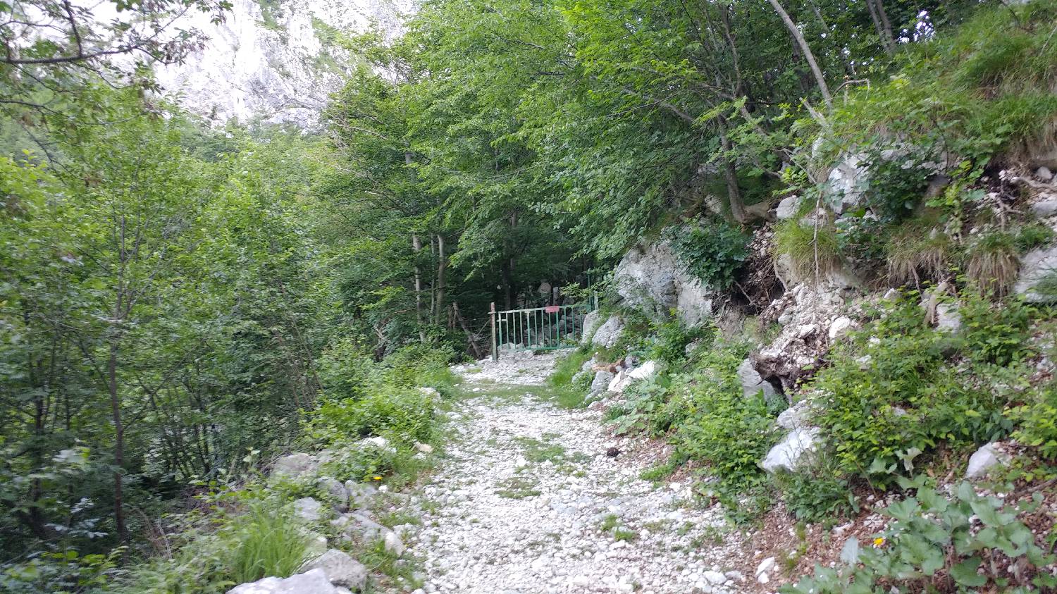 Planina Srednica - Mahavšček (Veliki Bogatin) slika 14