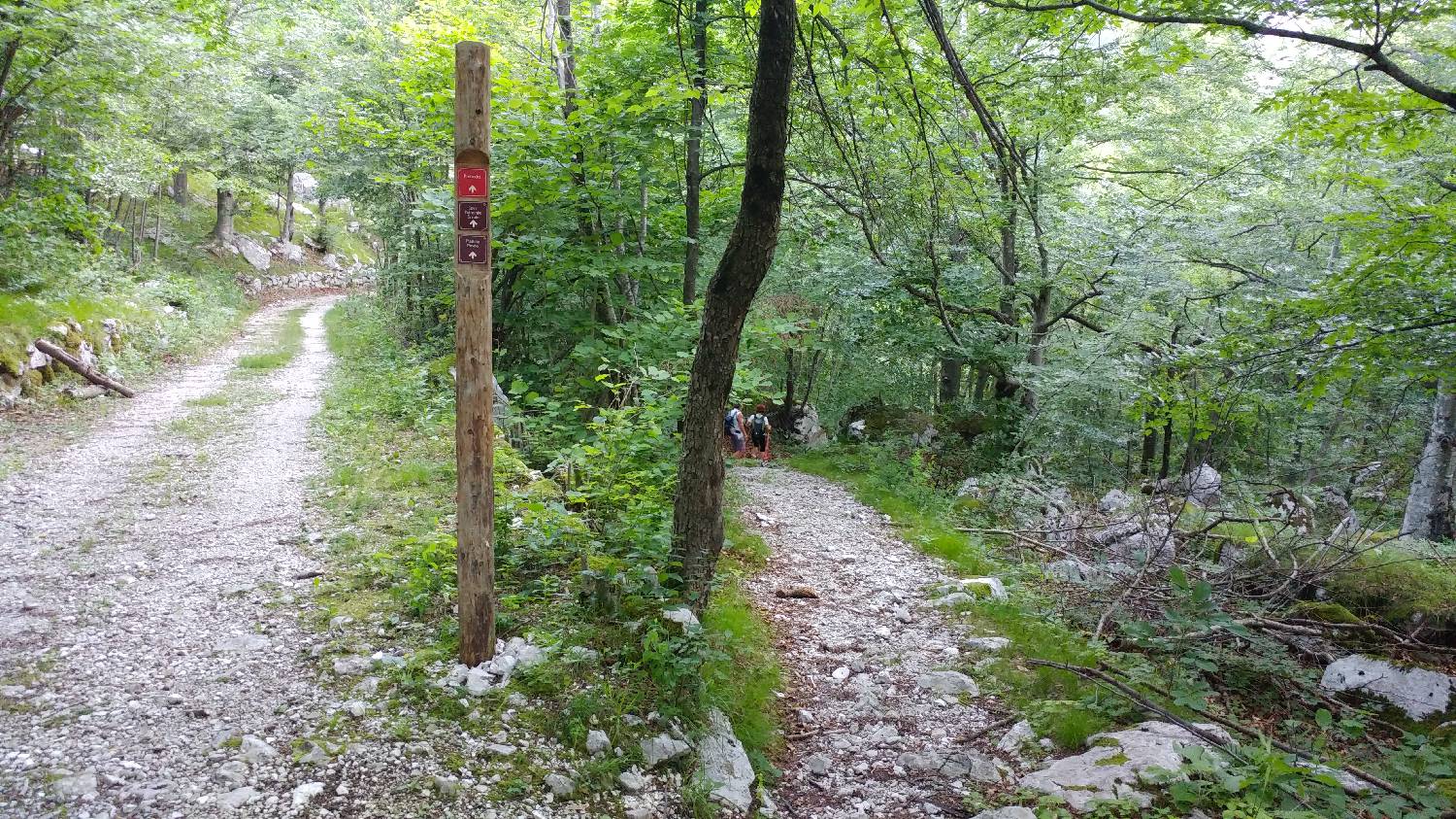 Planina Srednica - Mahavšček (Veliki Bogatin) slika 15