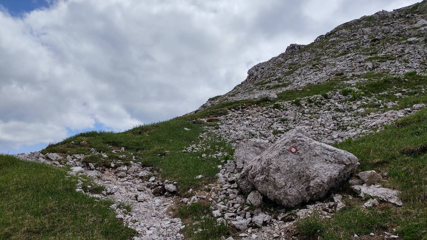 Planina Srednica - Mahavšček (Veliki Bogatin) slika 48