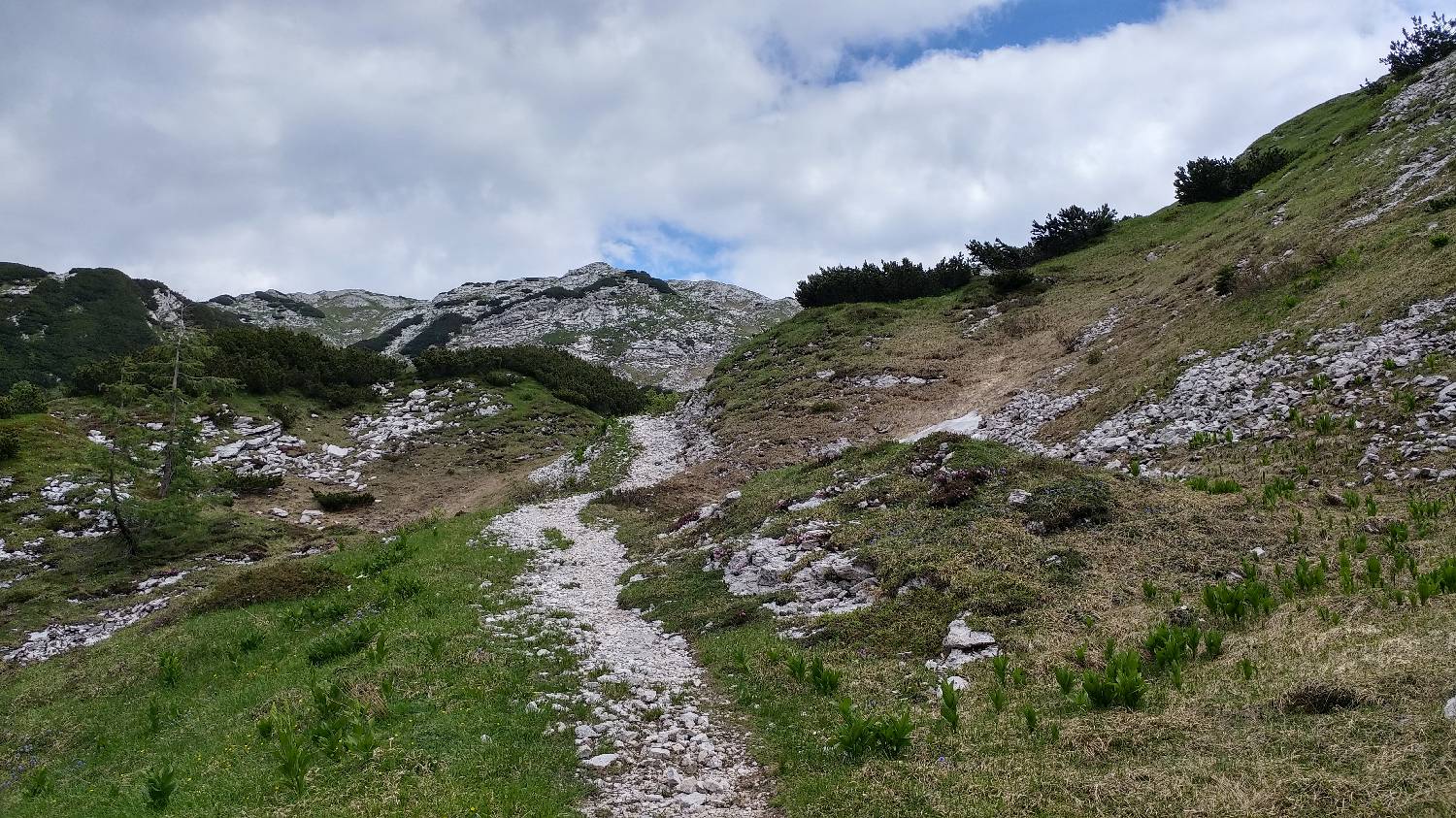 Planina Srednica - Mahavšček (Veliki Bogatin) slika 44