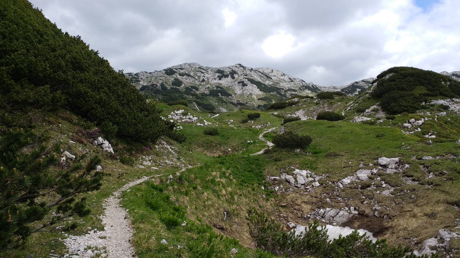 Planina Srednica - Mahavšček (Veliki Bogatin) slika 43