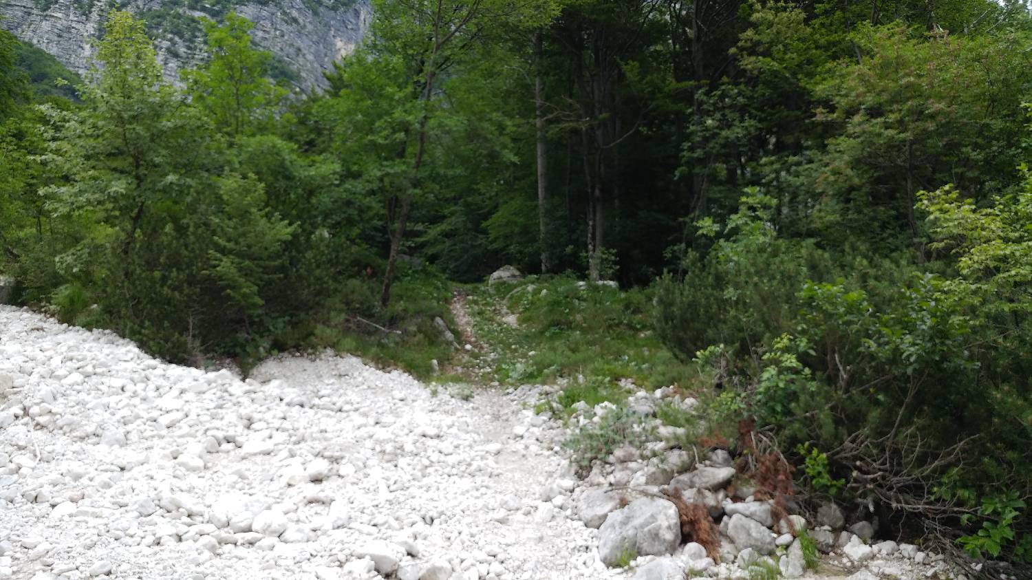 Planina Srednica - Mahavšček (Veliki Bogatin) slika 21