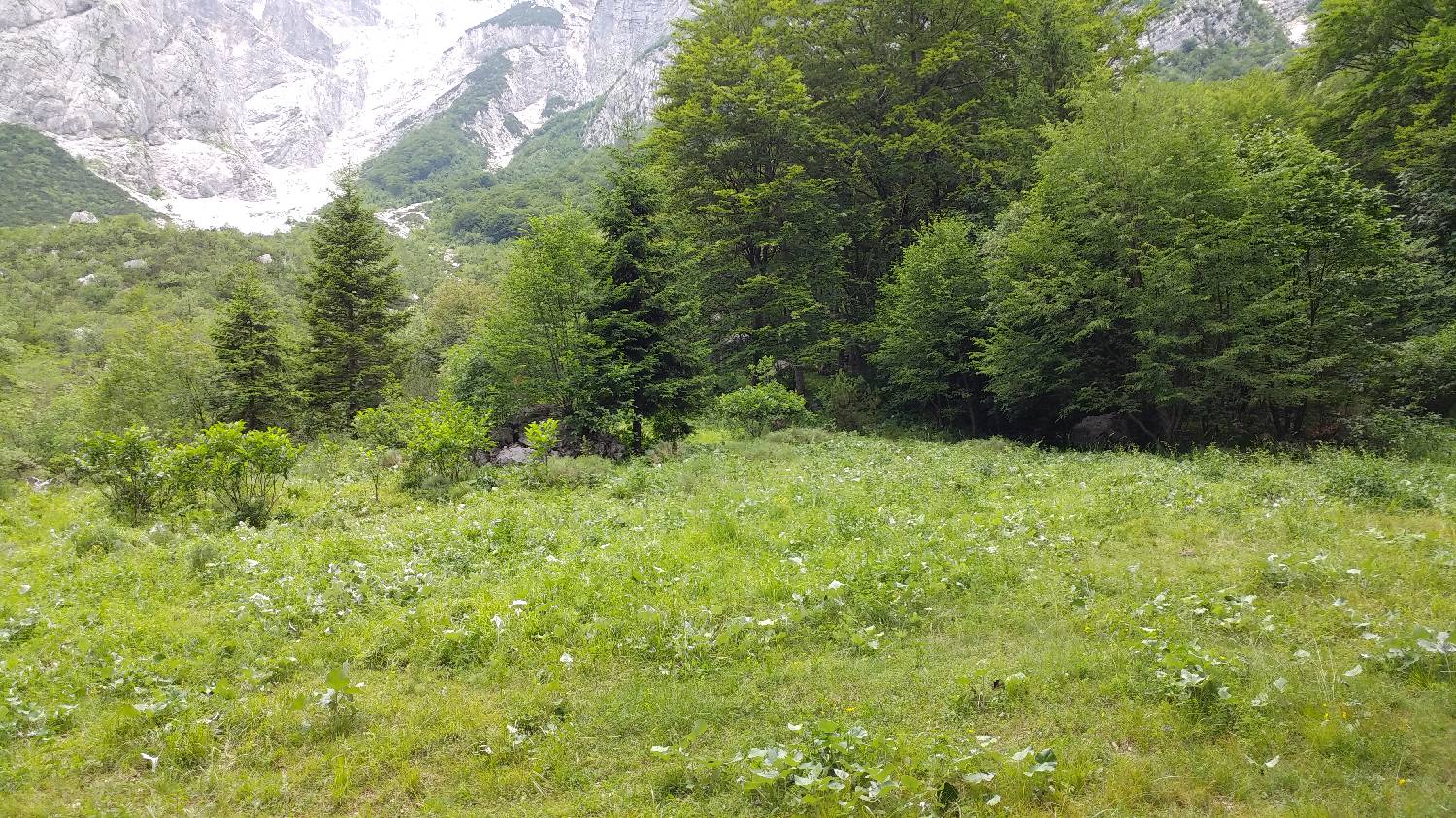 Planina Srednica - Mahavšček (Veliki Bogatin) slika 23
