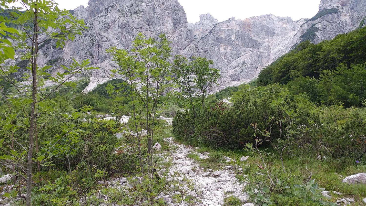 Planina Srednica - Mahavšček (Veliki Bogatin) slika 24