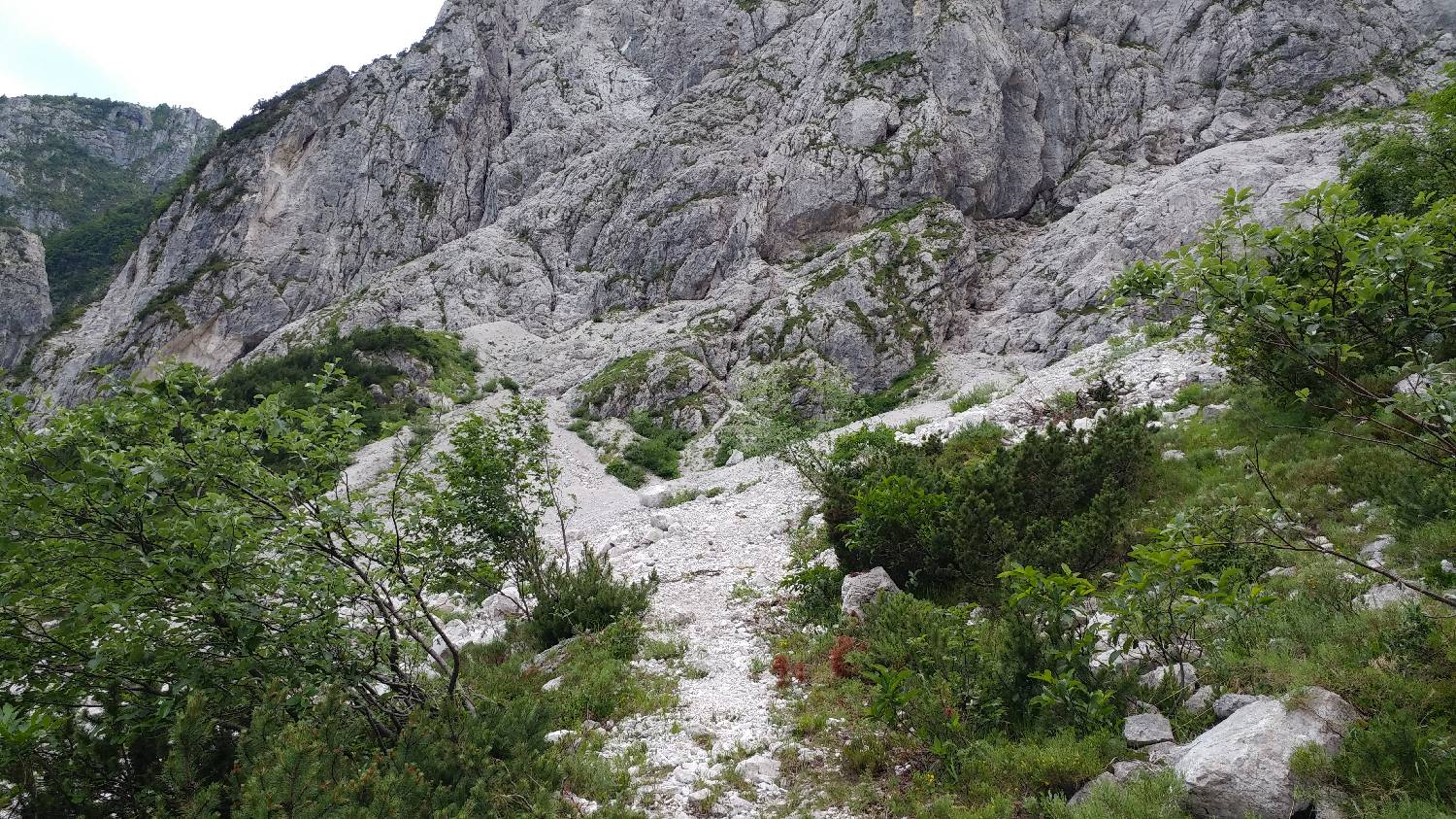 Planina Srednica - Mahavšček (Veliki Bogatin) slika 25