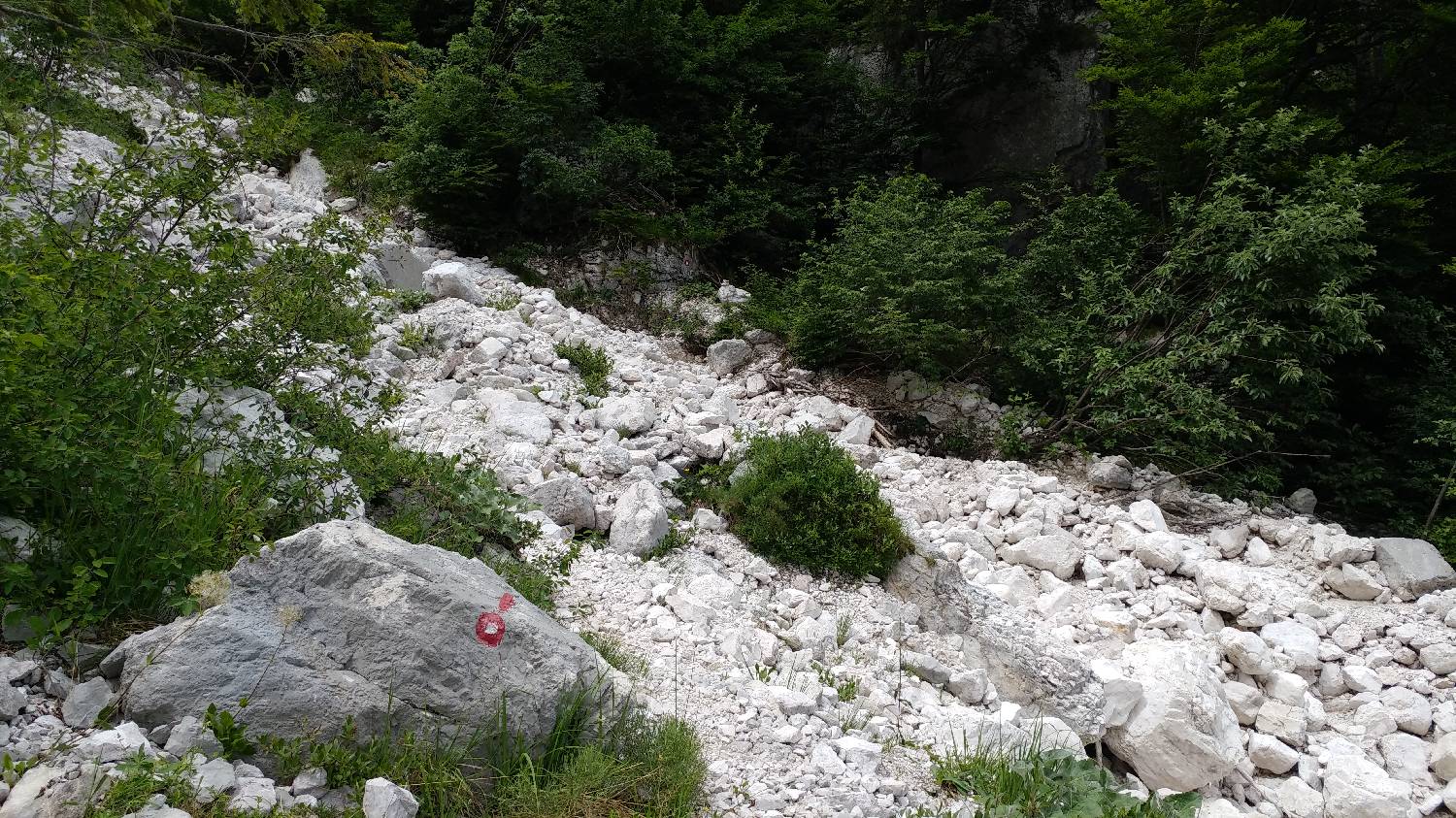Planina Srednica - Mahavšček (Veliki Bogatin) slika 26