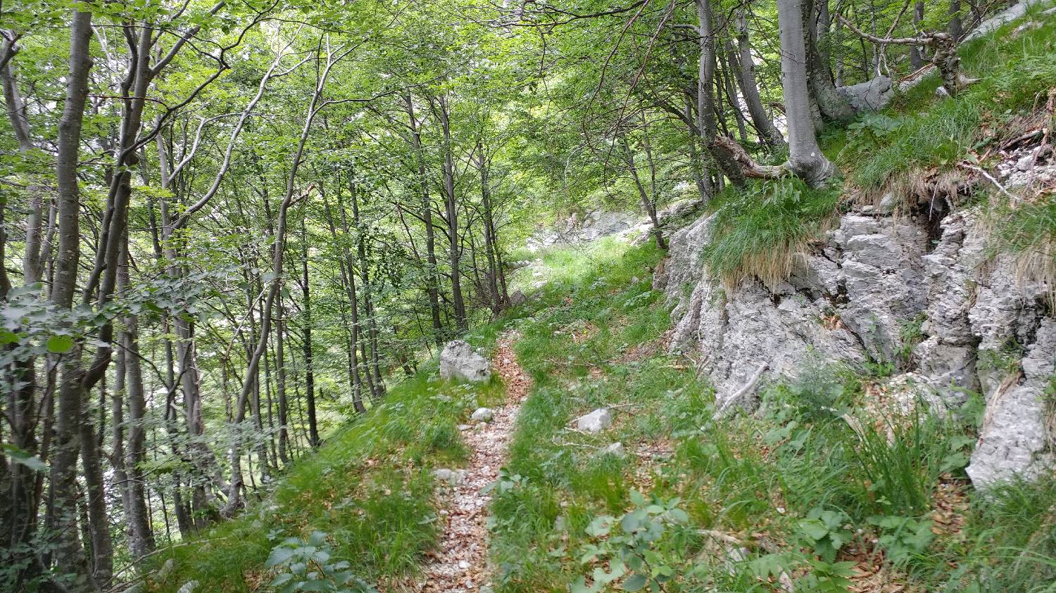 Planina Srednica - Mahavšček (Veliki Bogatin) slika 27