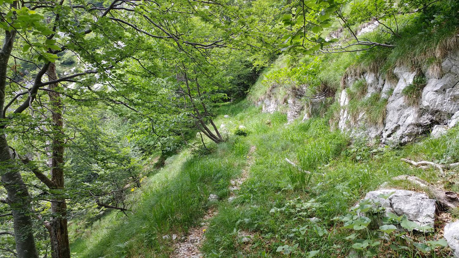 Planina Srednica - Mahavšček (Veliki Bogatin) slika 28