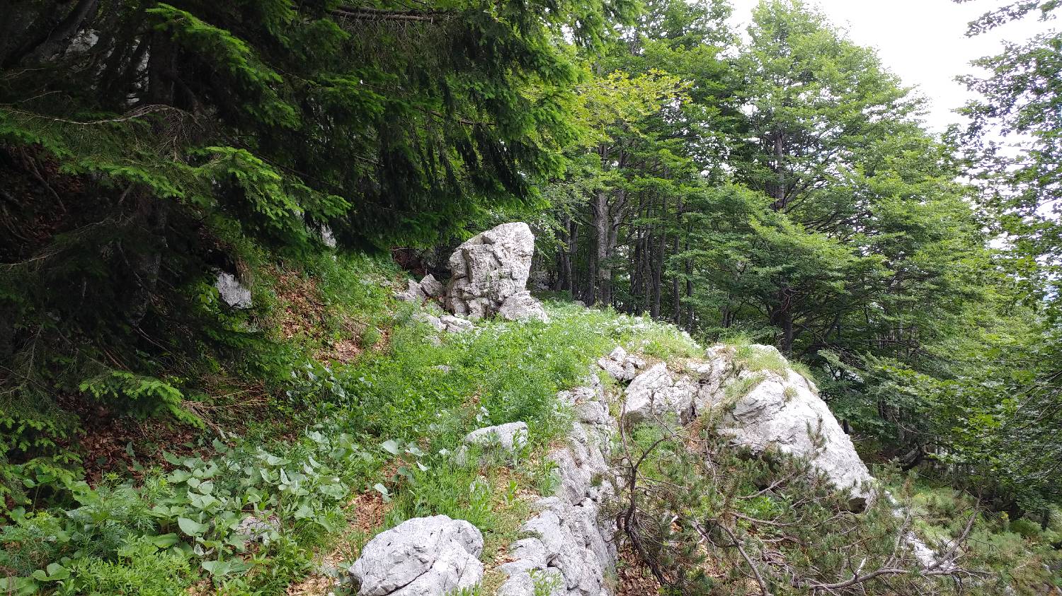 Planina Srednica - Mahavšček (Veliki Bogatin) slika 29