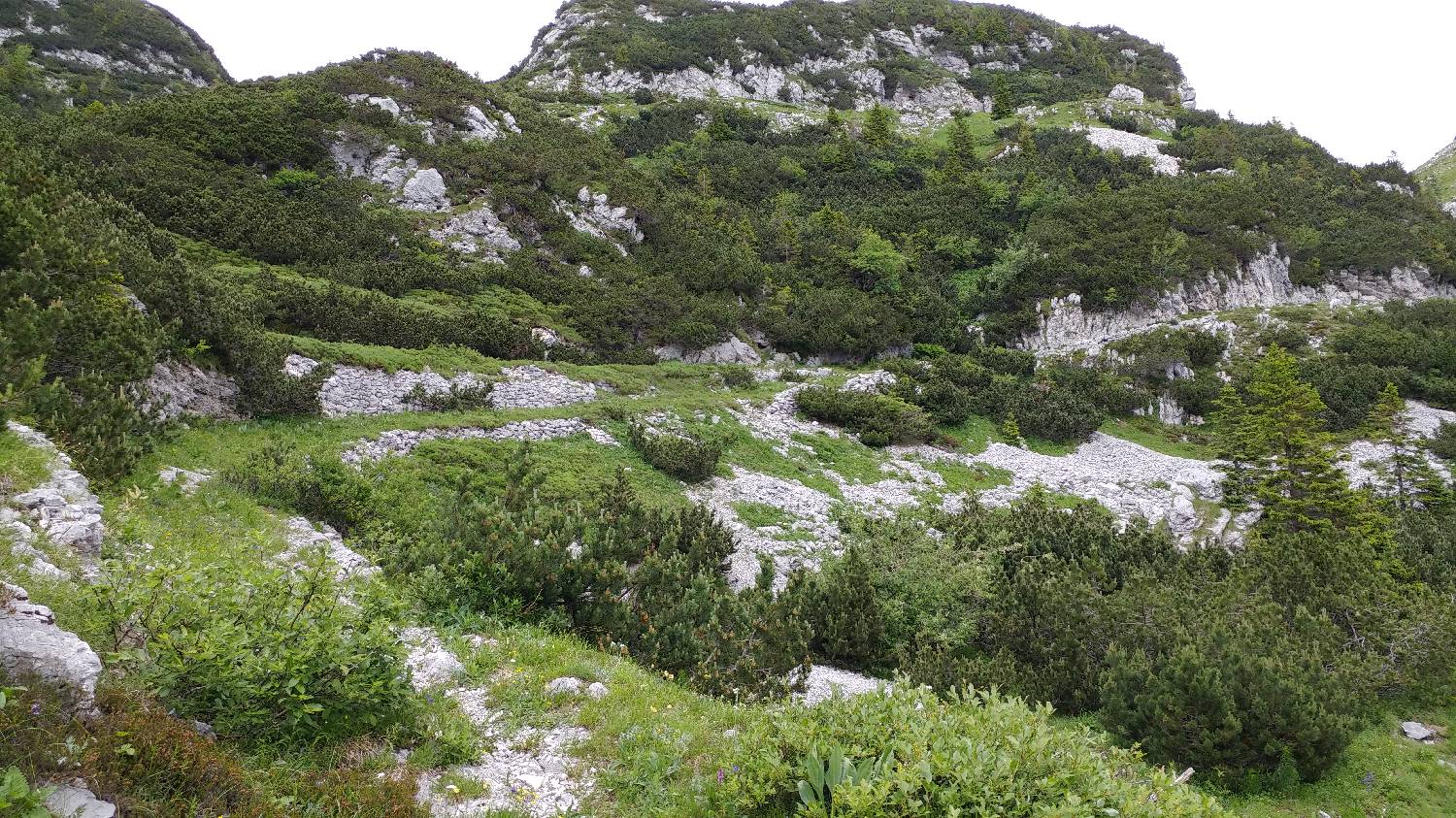 Planina Srednica - Mahavšček (Veliki Bogatin) slika 31