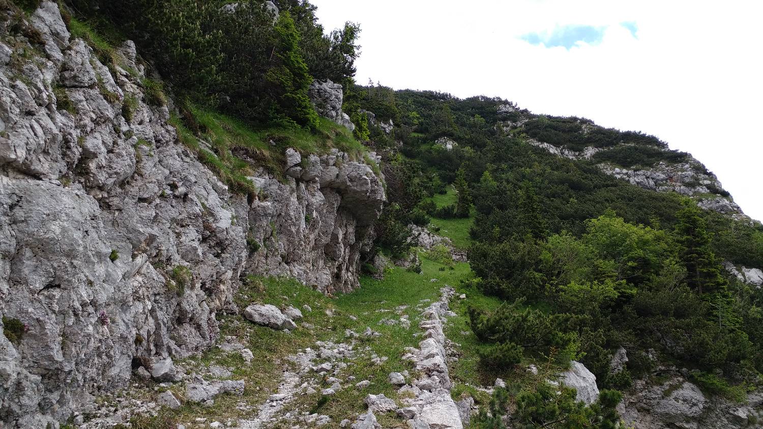 Planina Srednica - Mahavšček (Veliki Bogatin) slika 32