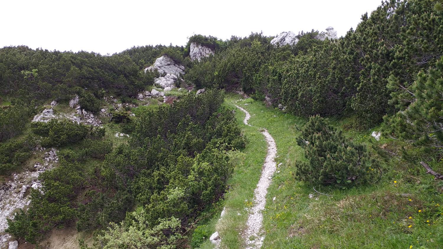 Planina Srednica - Mahavšček (Veliki Bogatin) slika 35
