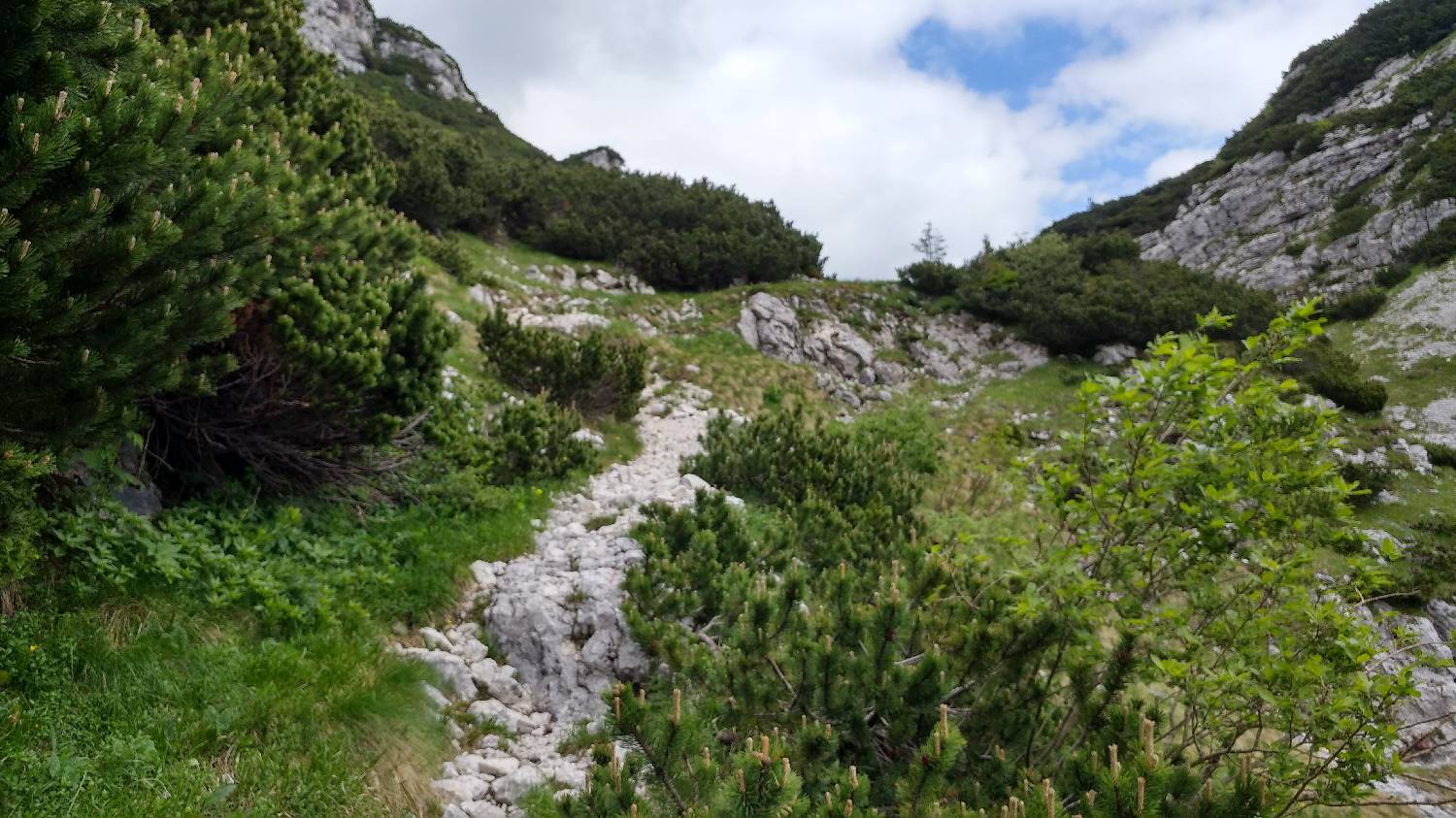 Planina Srednica - Mahavšček (Veliki Bogatin) slika 40
