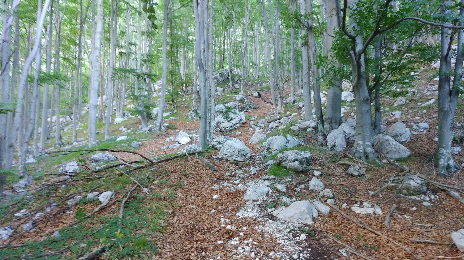 Planina Srednica - Vrh Škrli slika 18