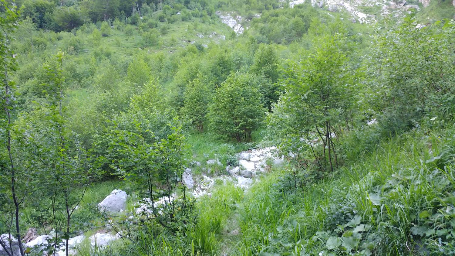 Planina Srednica - Planina Dobrenjščica slika 20